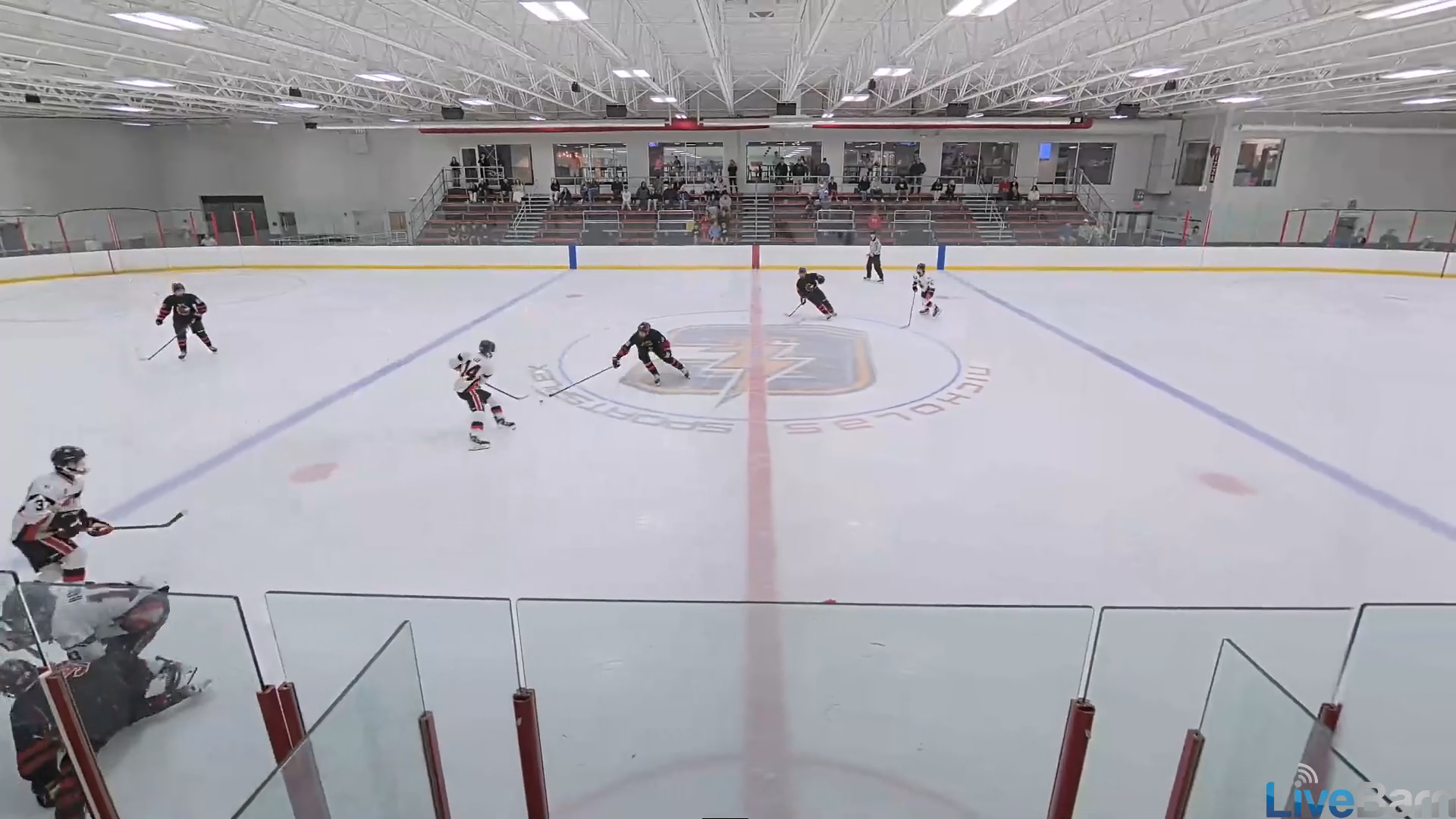 Gavin Perkovich's Net Presence: Scoring Highlights with the Reapers