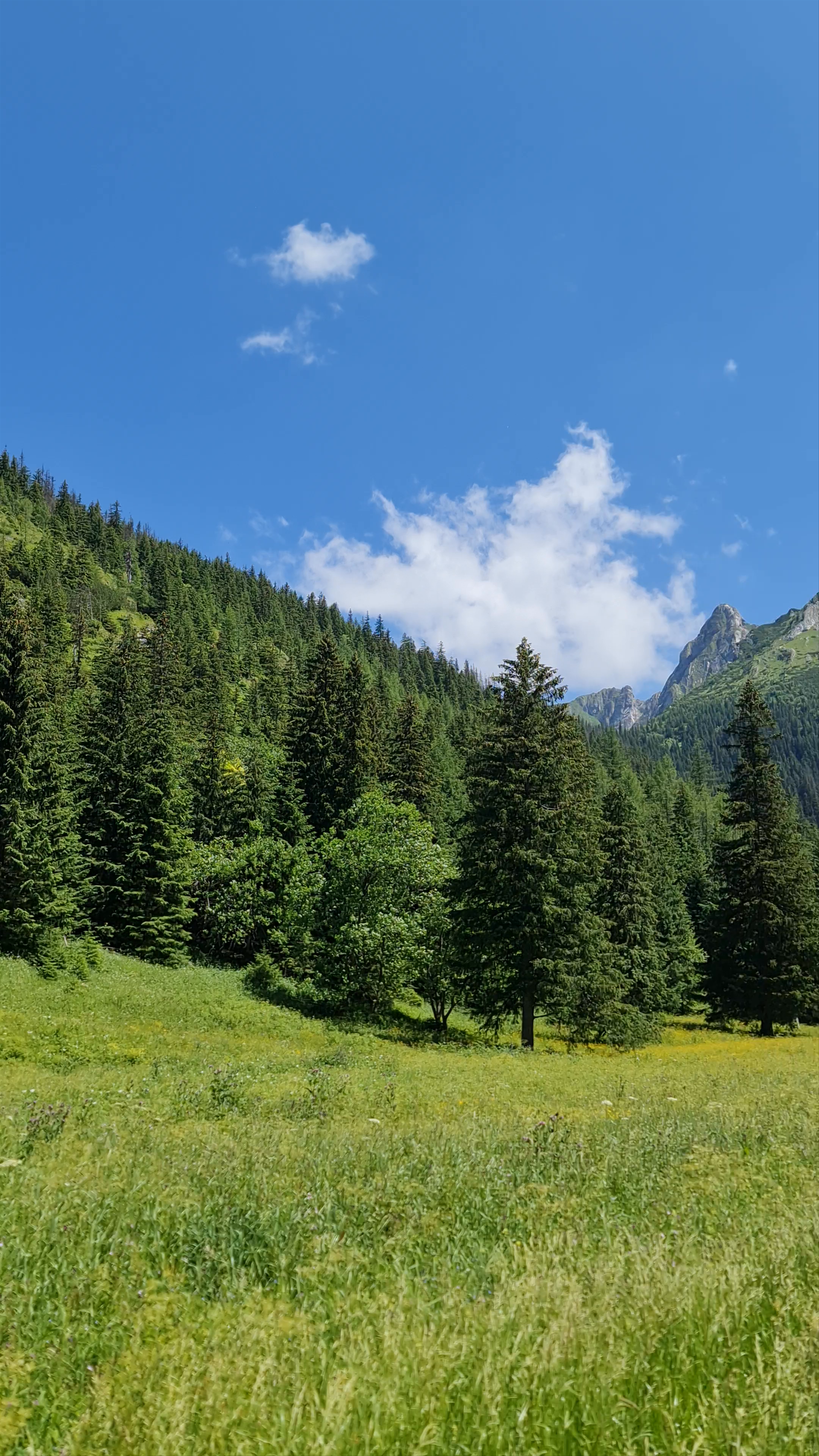 Kościeliska Valley