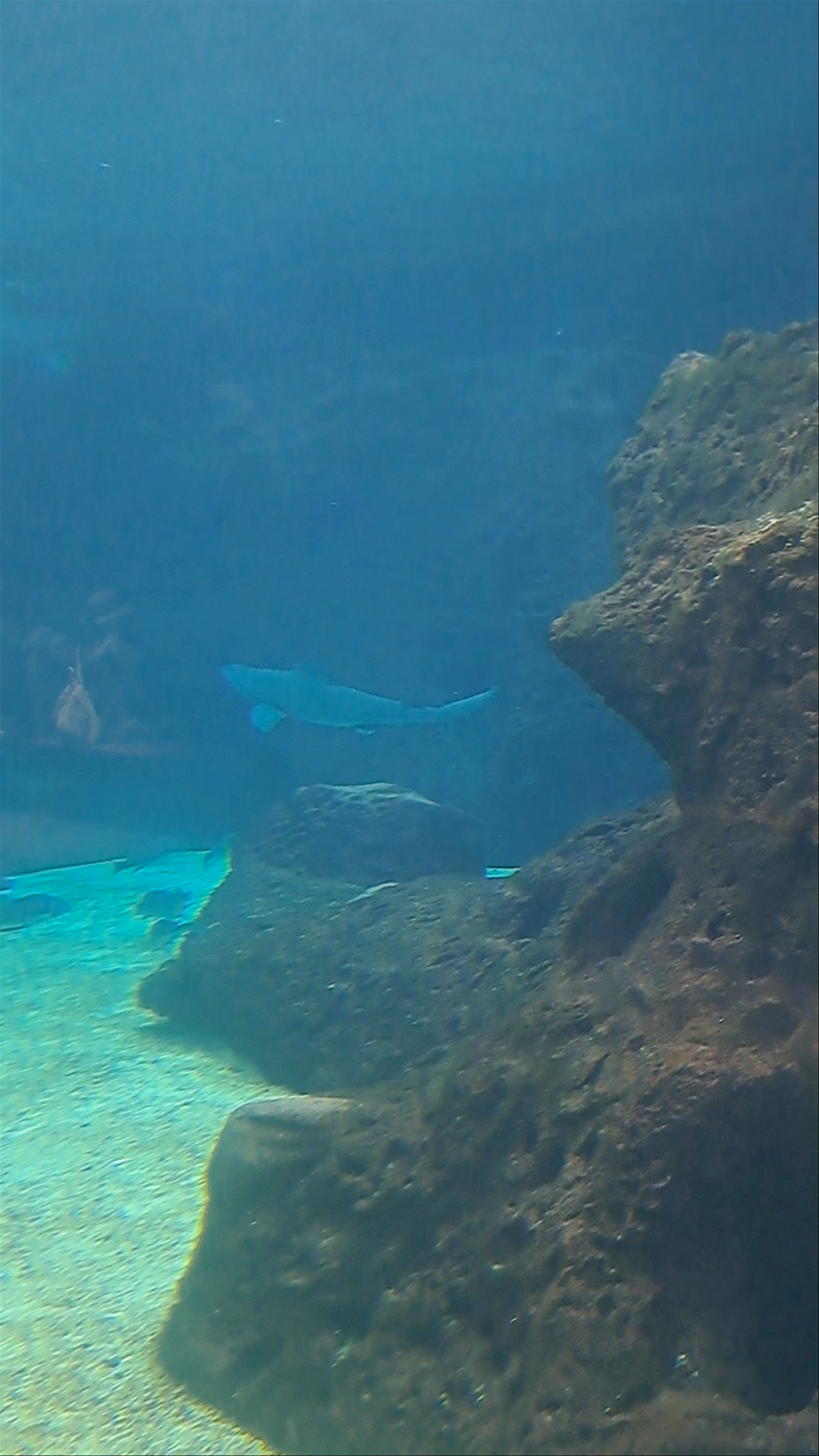 CRETAquarium Thalassokosmos: Underwater Wonders in Heraklion