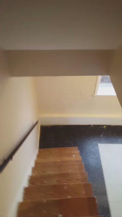 Good Guy Movers - One of the funniest jobs I've ever been on we love horses - Movers Near Me - Worcester, Massachusetts