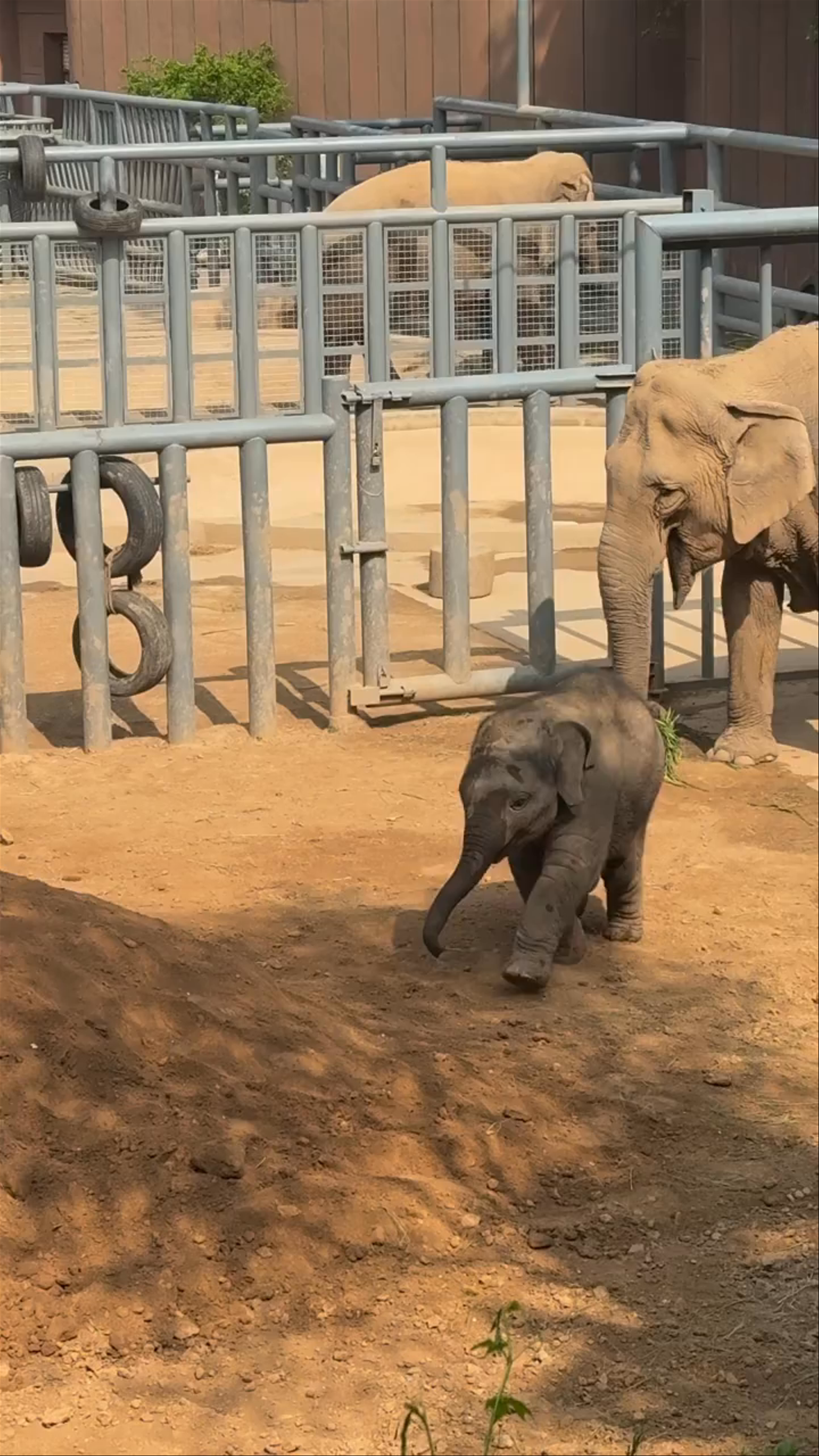 Jinan Zoological Park