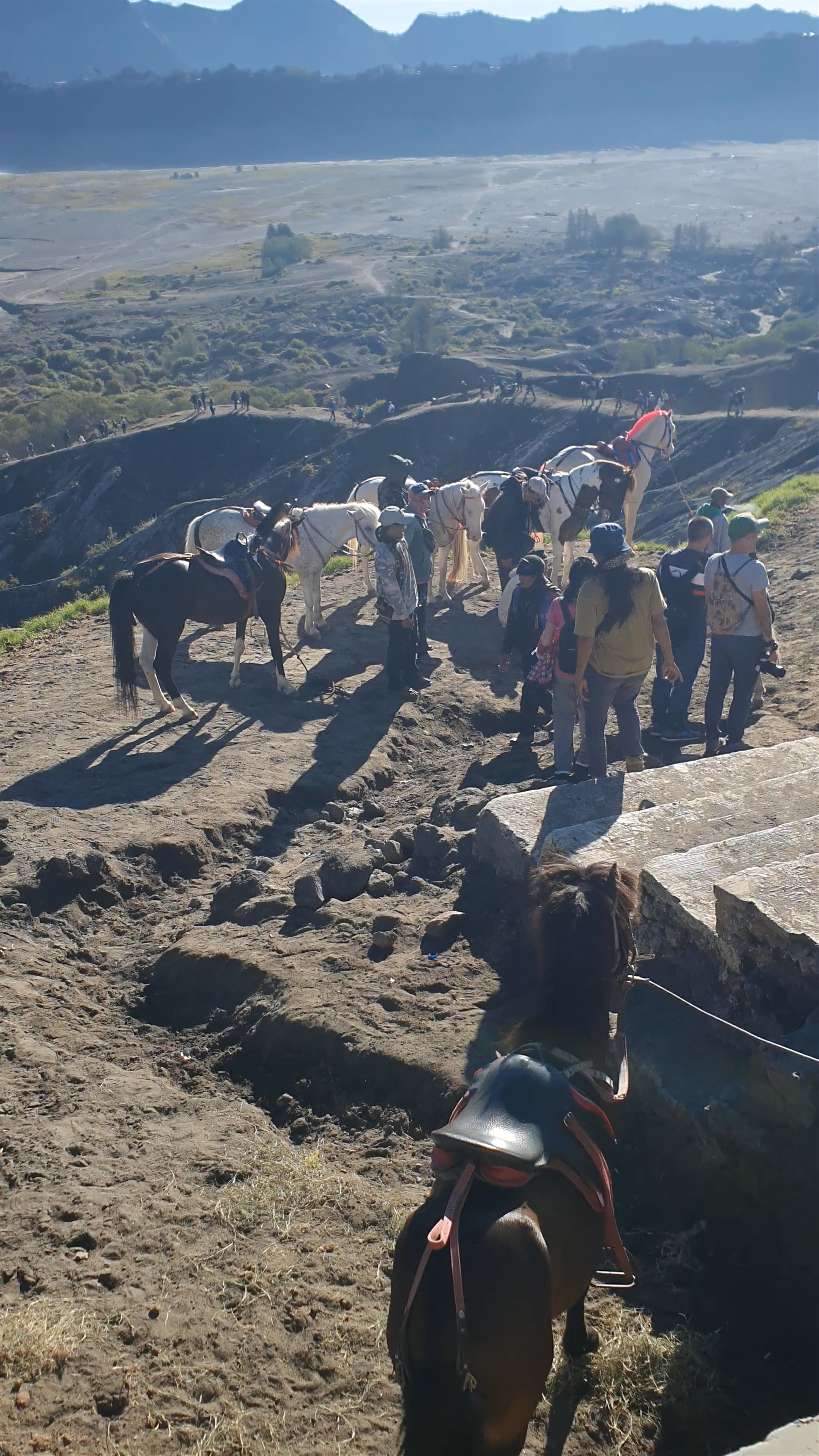 Mount Bromo