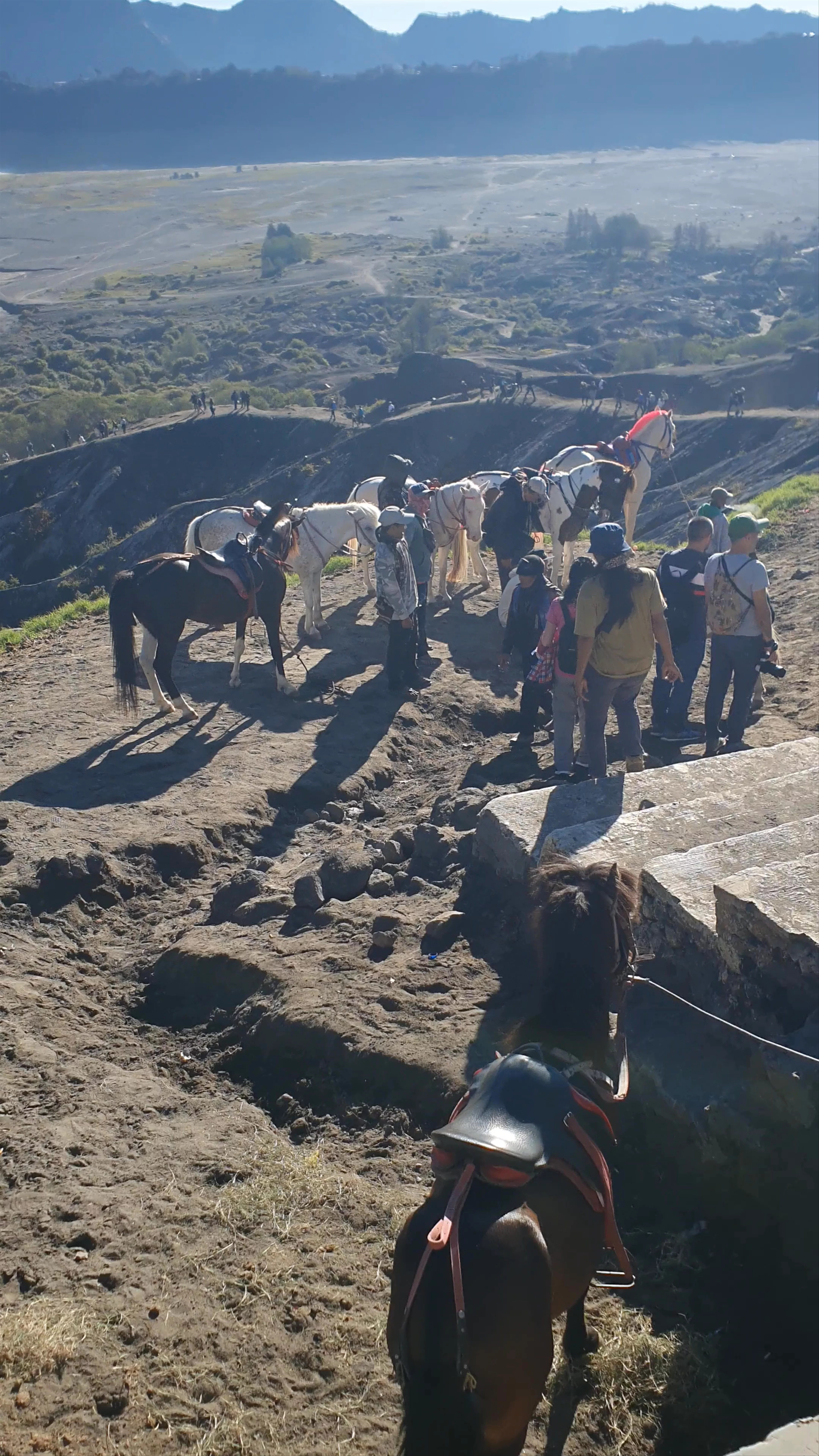 Mt Bromo