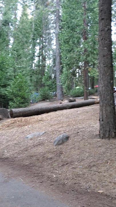 Fashoda Campground - People blasting their music all day.  In general, its a loud campsite. We left early. - Hiking Near Me - Pollock Pines, California