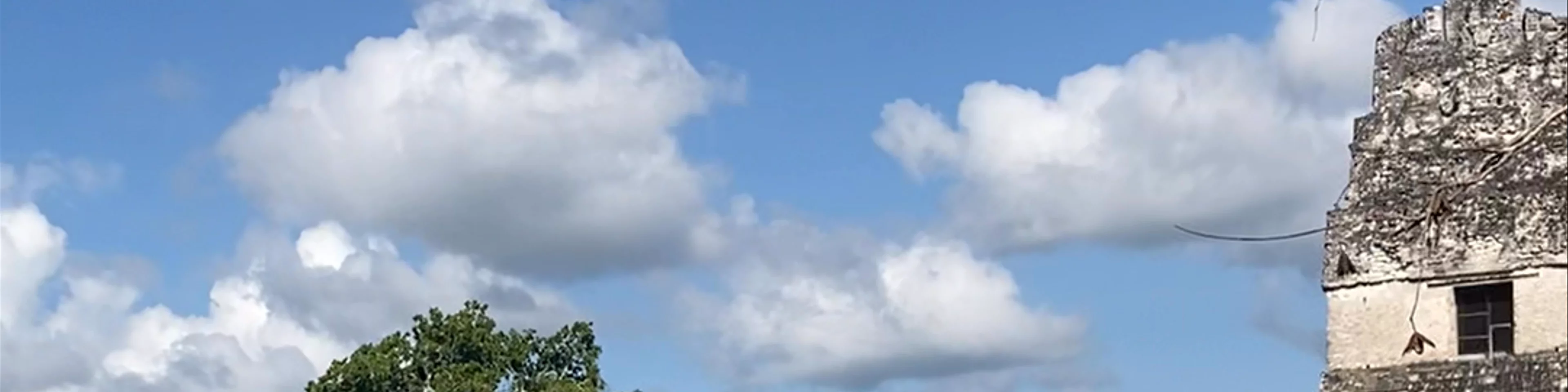 Tikál