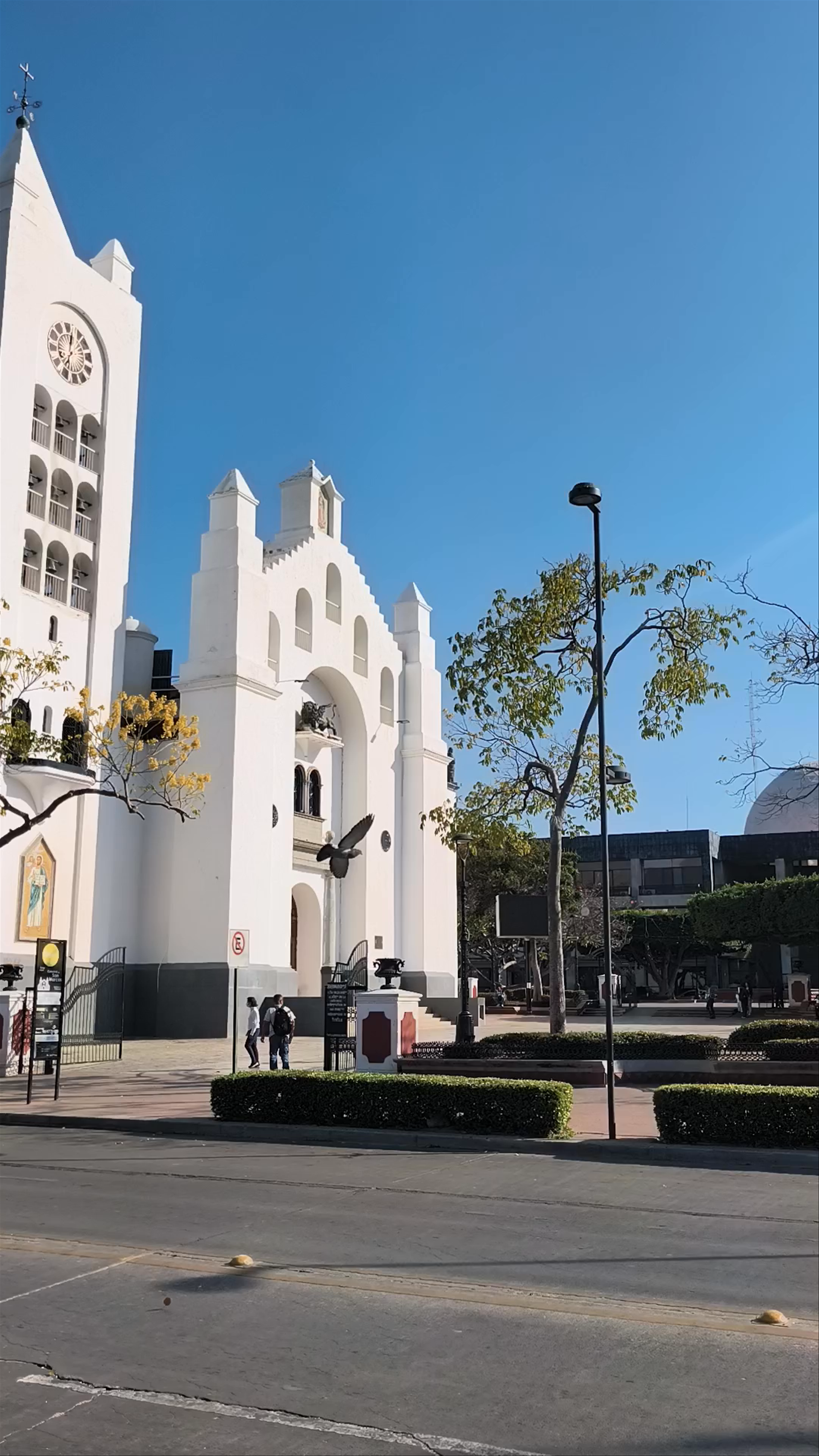 Catedral Metropolitana de San Marcos