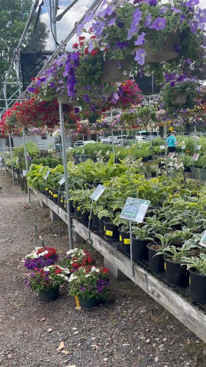 Garden's Dream - Most of perennial section - Nurseries & Gardening Near Me - Cromwell, Connecticut