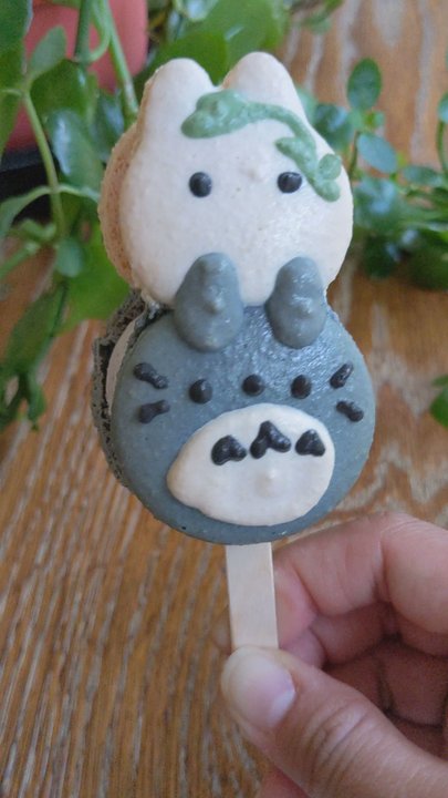 Ooyoo Pan - Totoro Macaron Pop - Bakeries Near Me