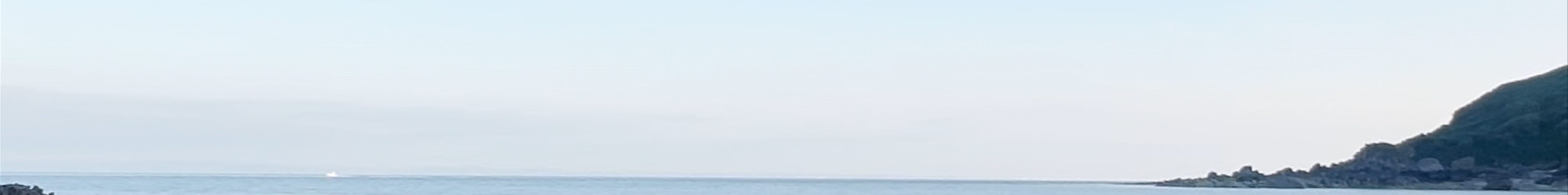 Tours & experiences in Swansea