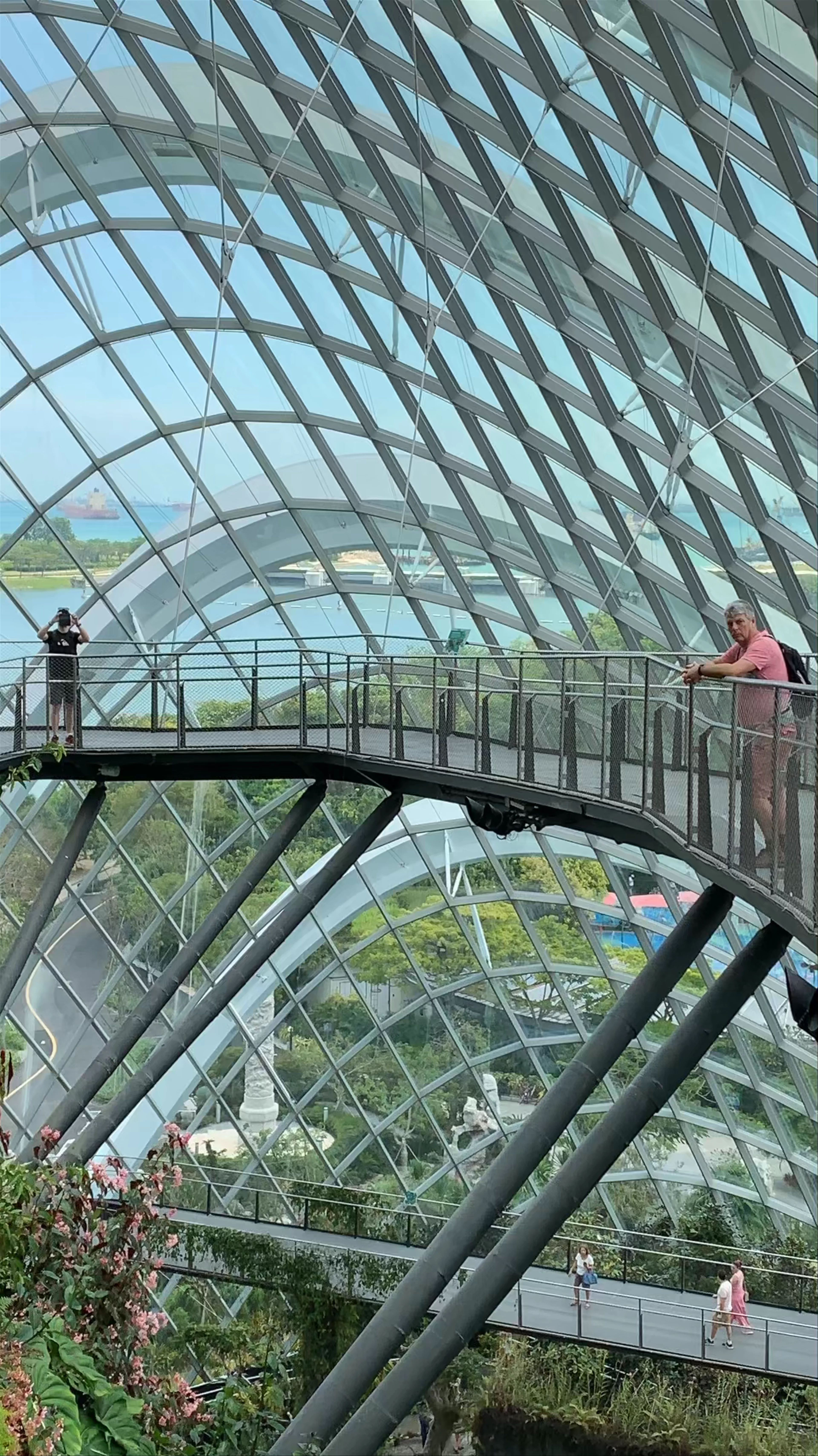 Cloud Forest