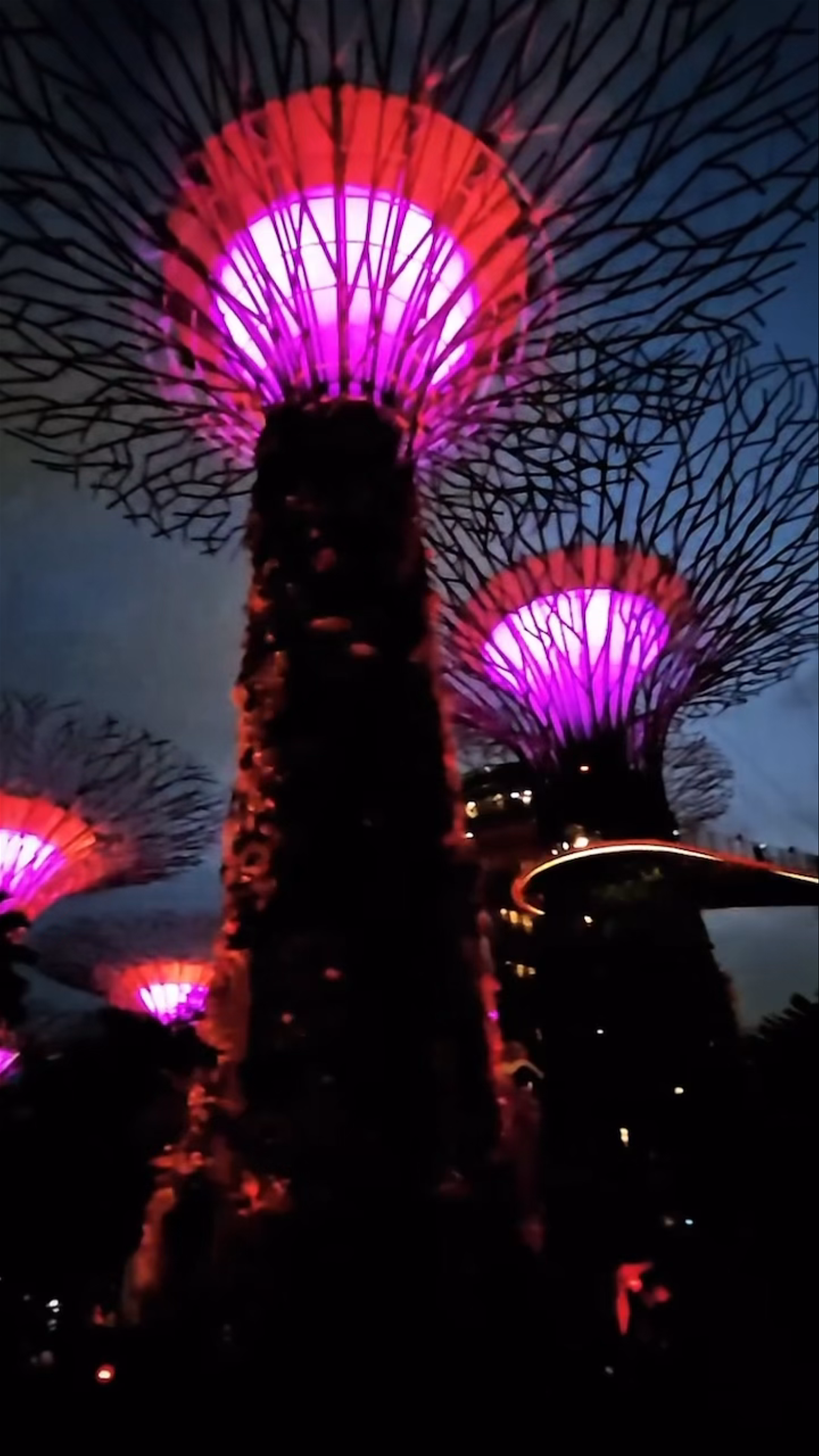 Marina Gardens Drive