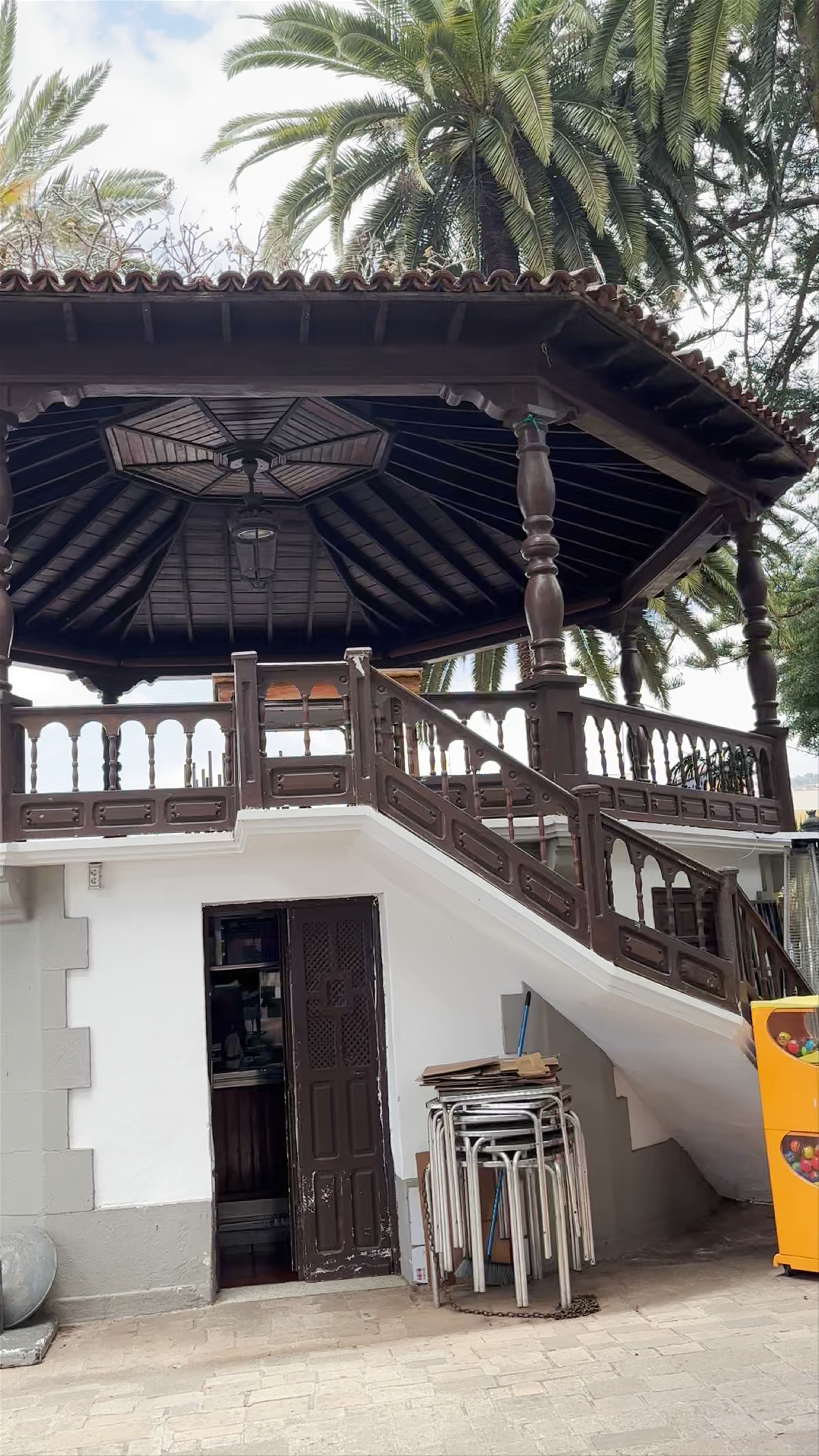 Plaza Andrés de Lorenzo Cáceres. Vista del Drago Mil•lenarii