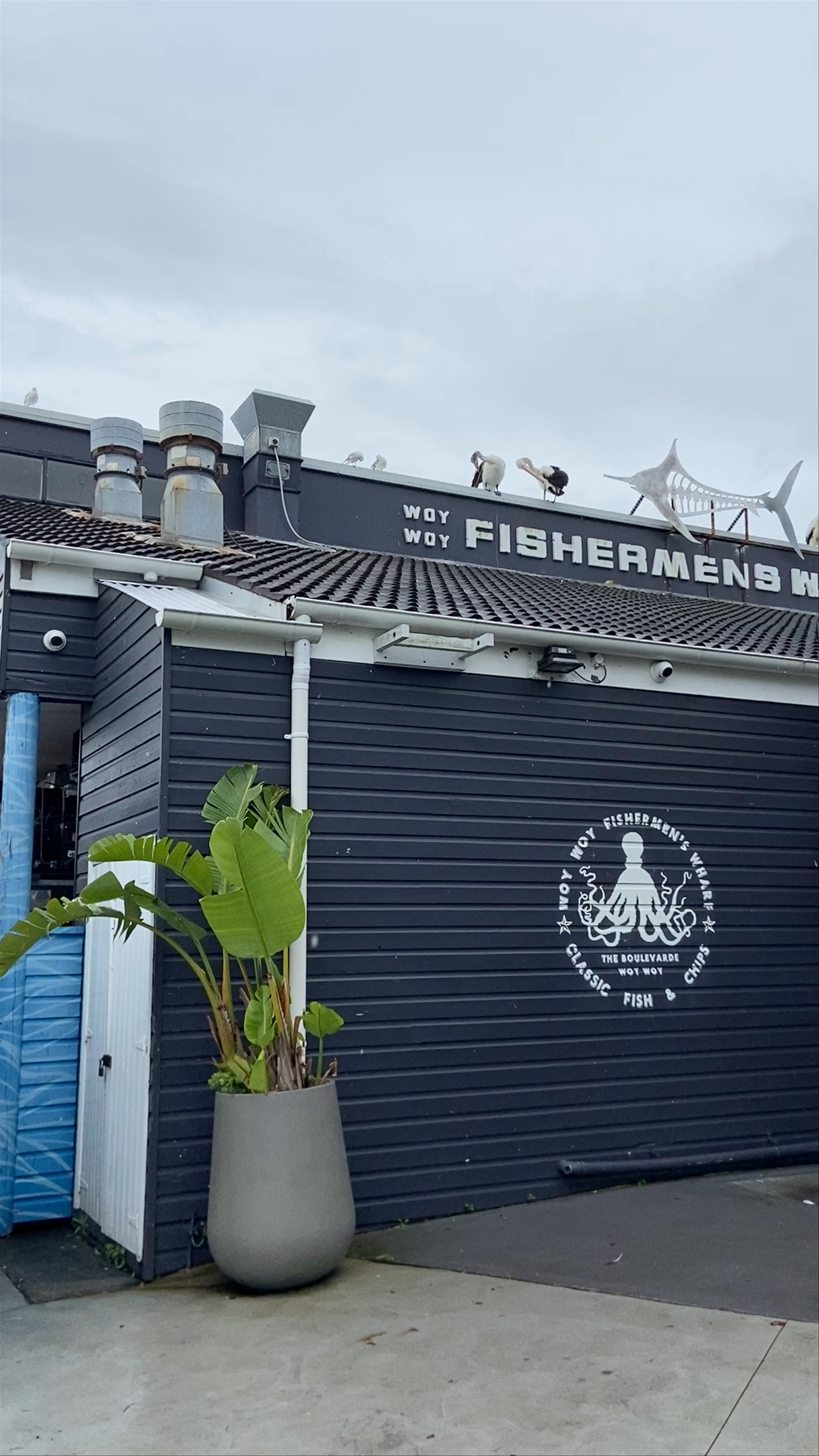 Fisherman's Wharf Playground: Woy Woy Family Fun by the Water