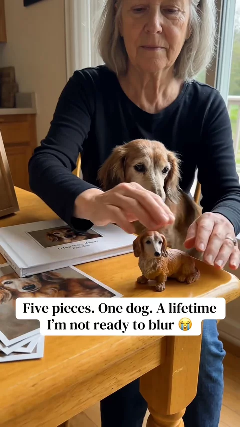 Pet Moment Five Pieces 2 | UGC