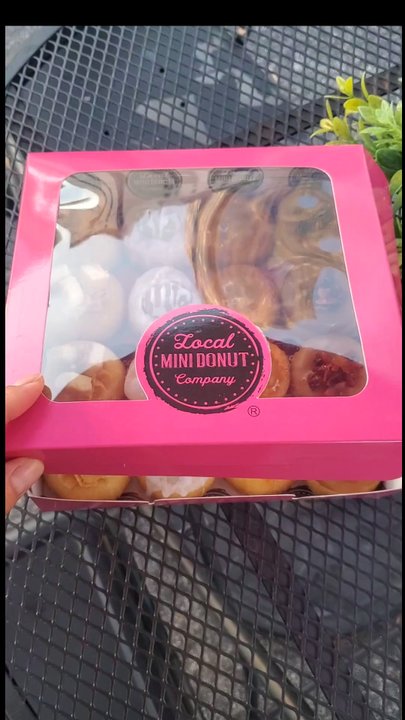 Local Mini Donut Co - Come by Downtown Tampa and get your Box of Donuts - Donuts Near Me - Tampa, Florida
