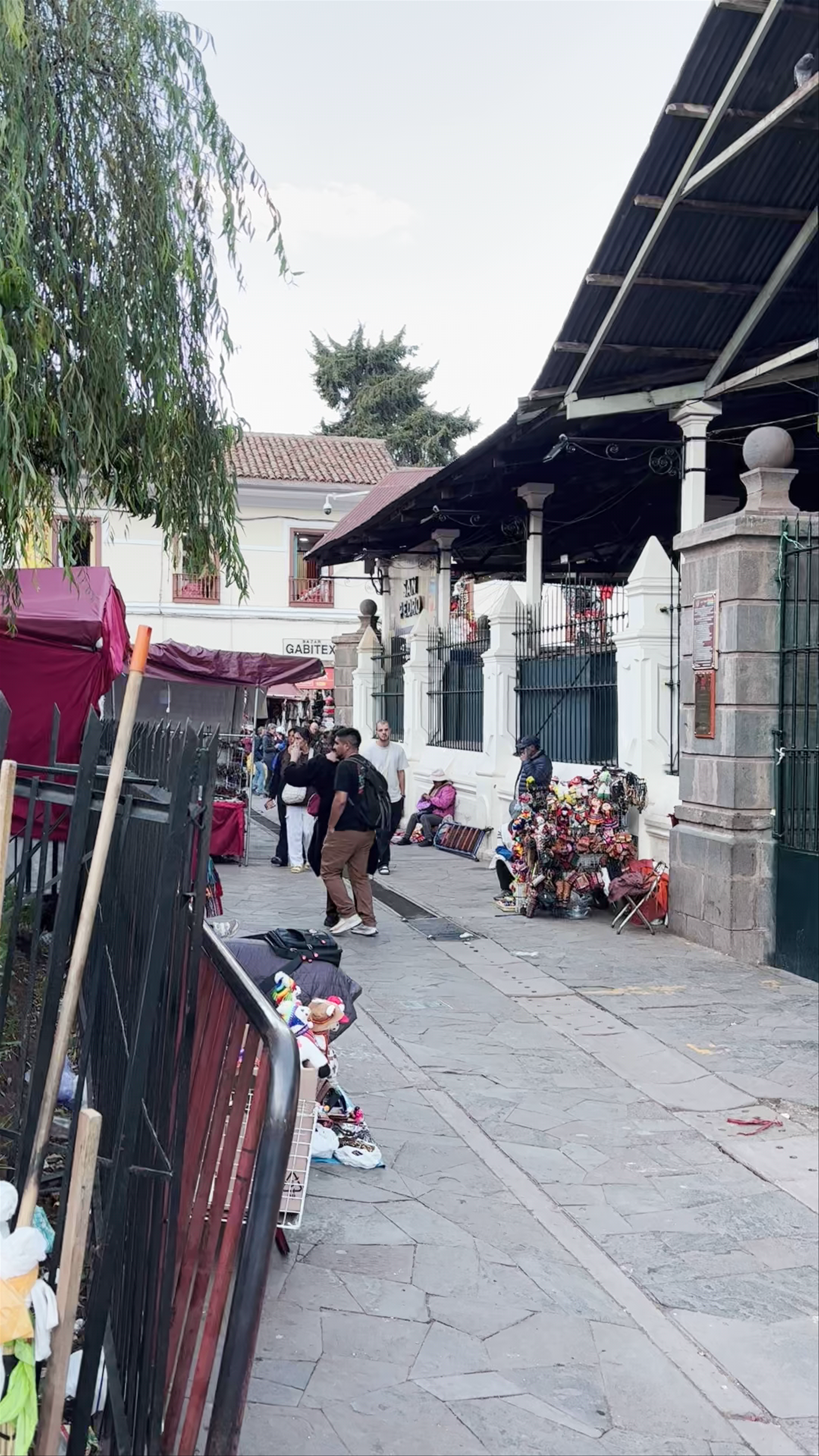 Mercado San Pedro