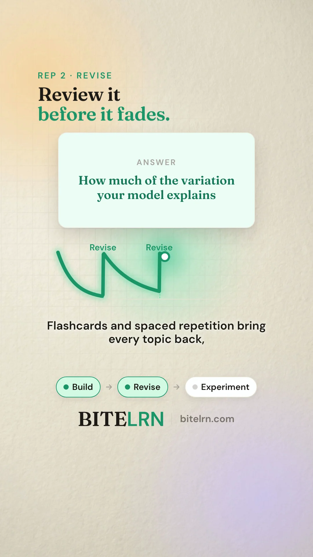 Bitelrn image 1
