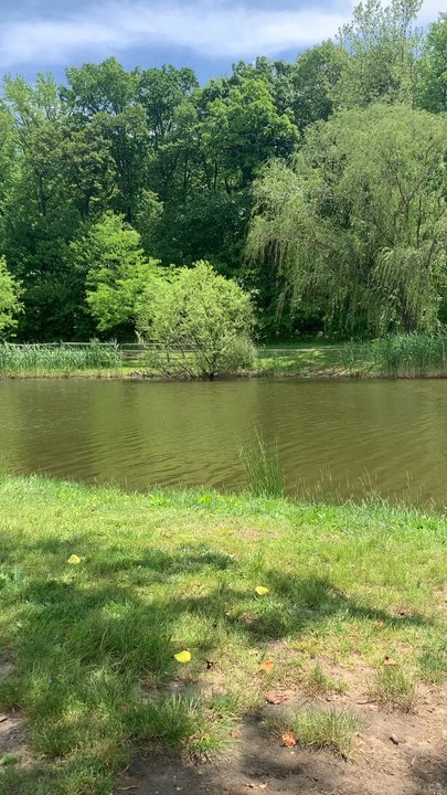 Laurel Acres Park - Hanging out by the lake - Parks Near Me - Mt Laurel Township, New Jersey