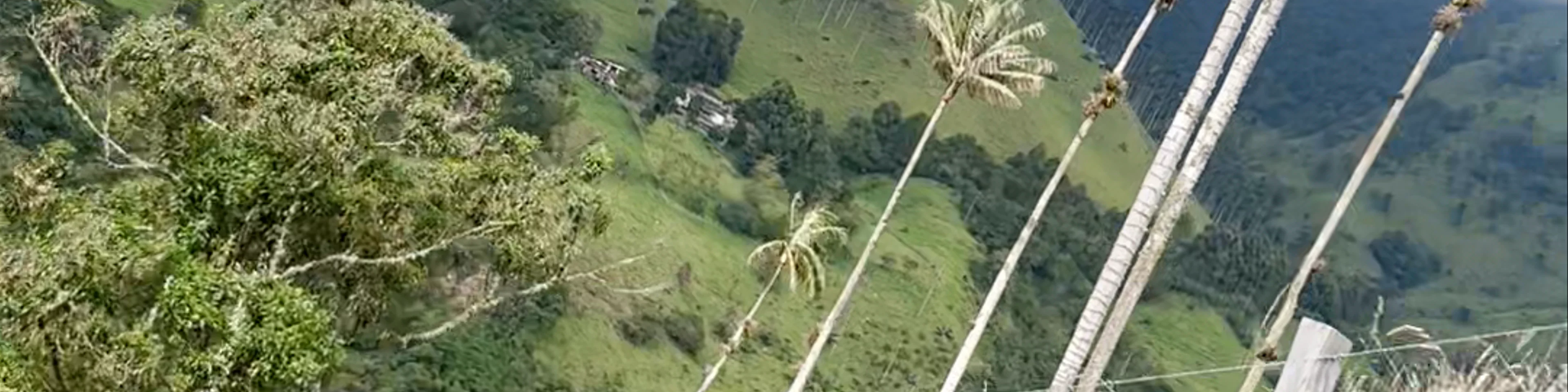 Valle del Cocora