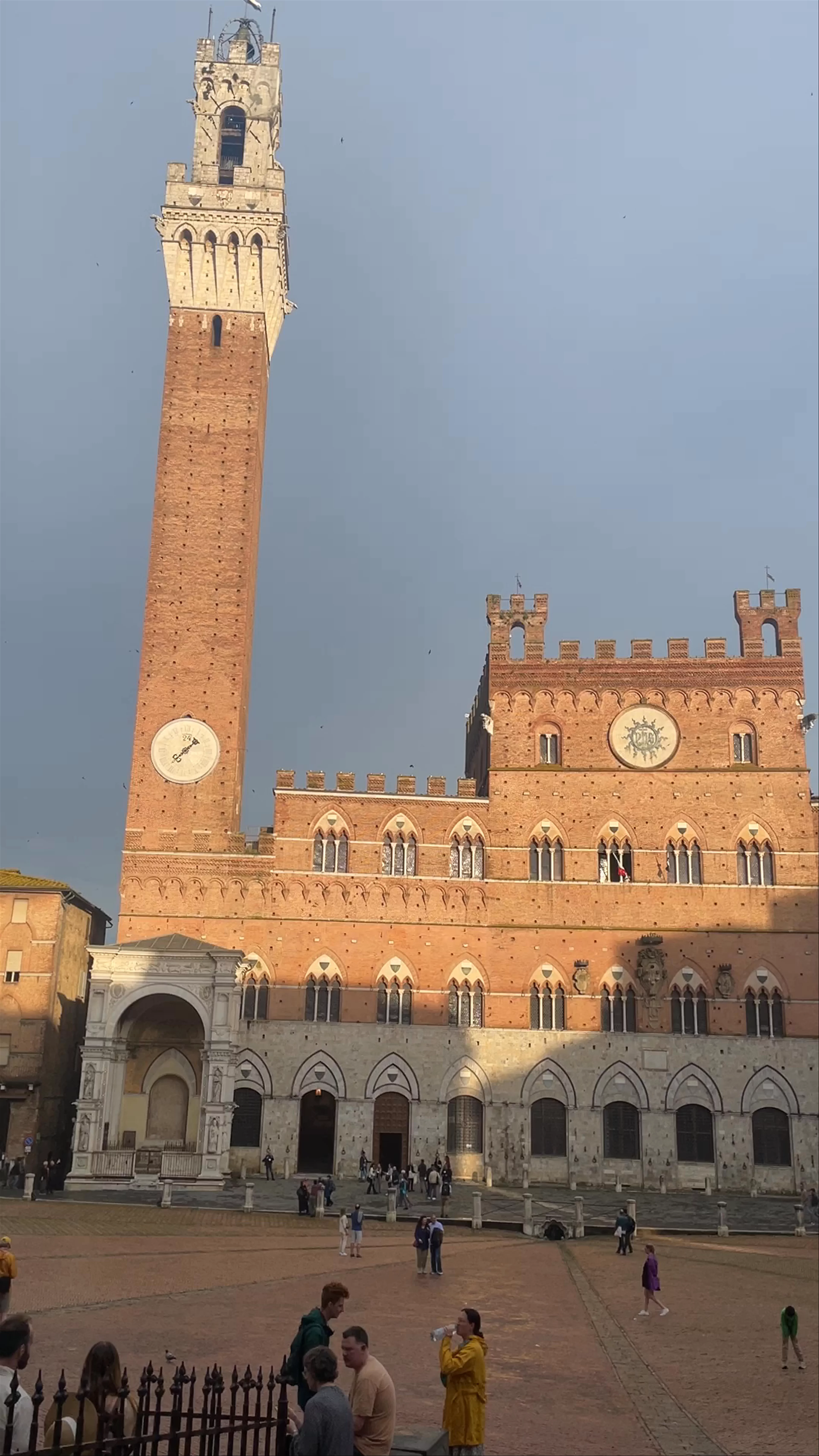 Piazza del Campo, Il Campo, Siena, Province of Siena, Italy