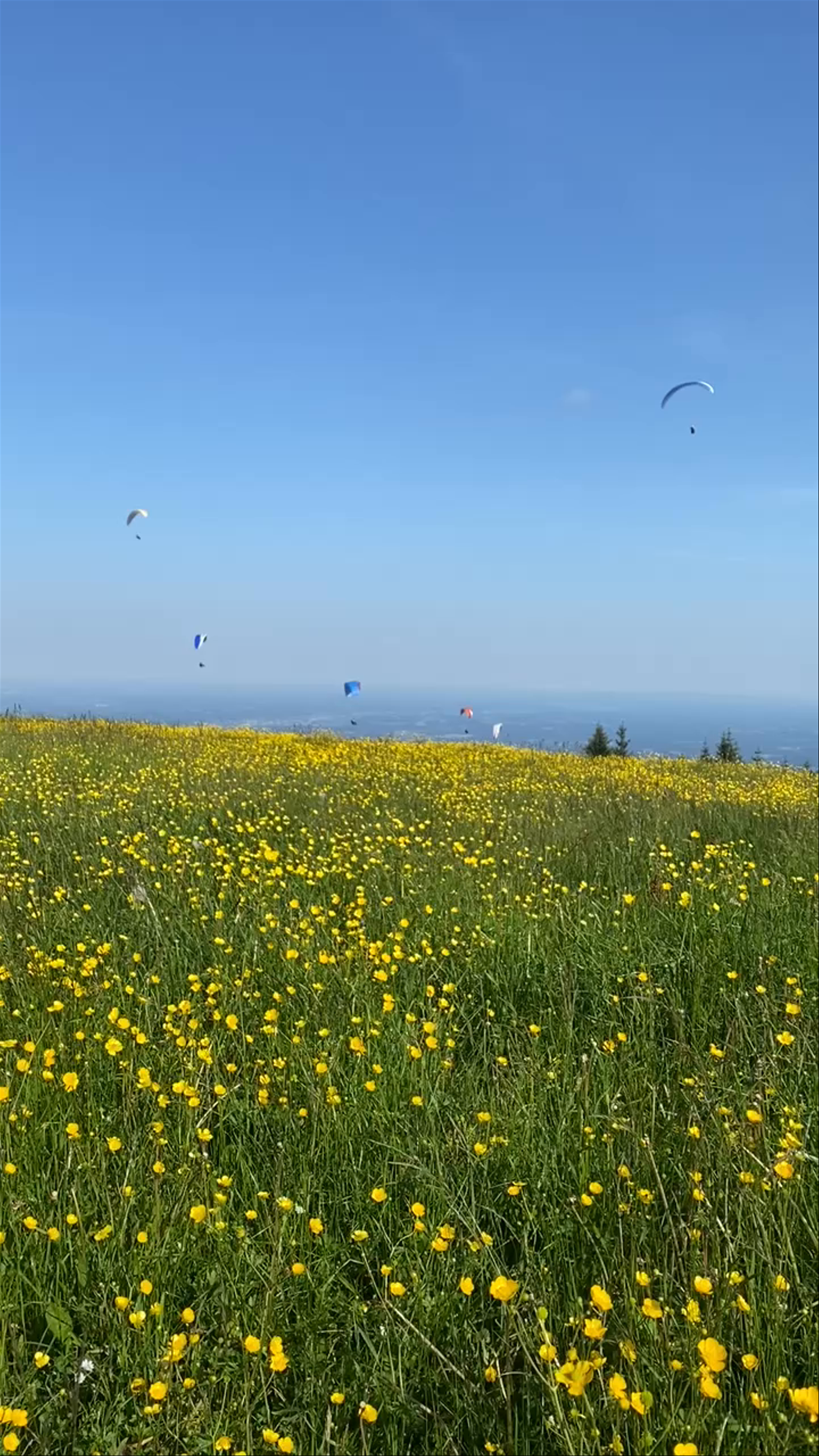 Alpengasthof am Schöckl & Ludwig 24/7