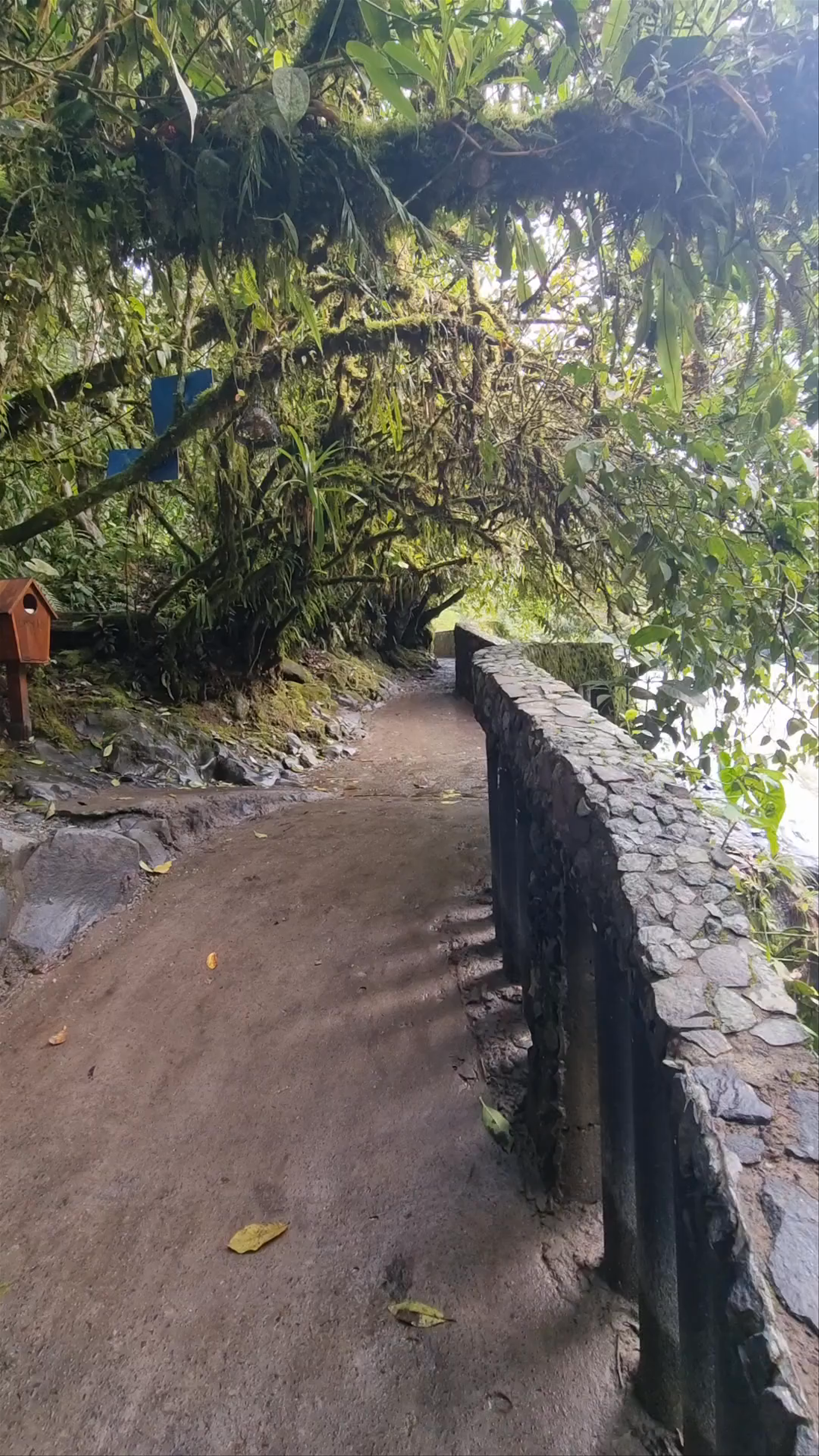 Pailón del Diablo Waterfall: Thunderous Beauty near Puyo, Ecuador