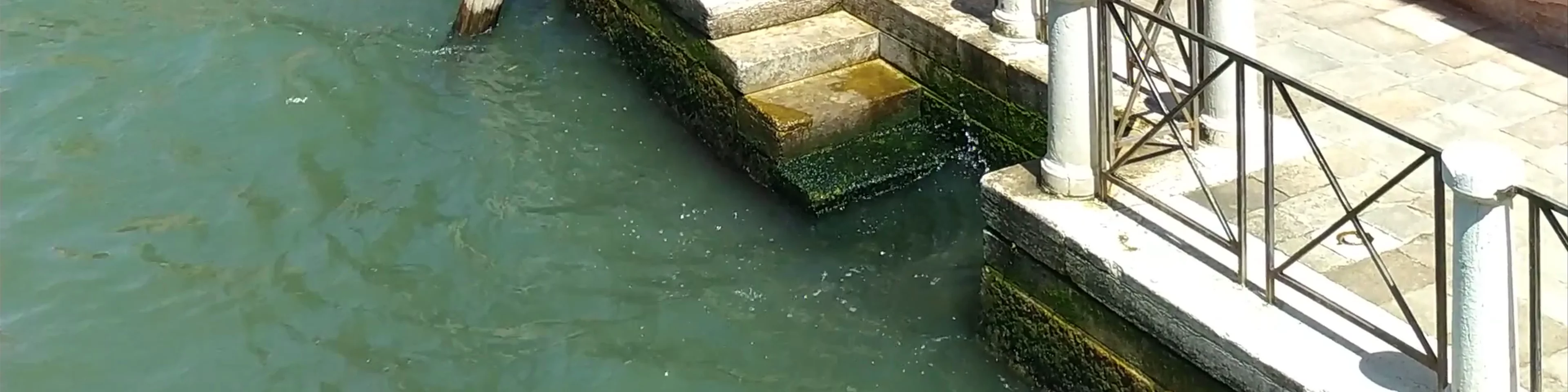 Venice canals 