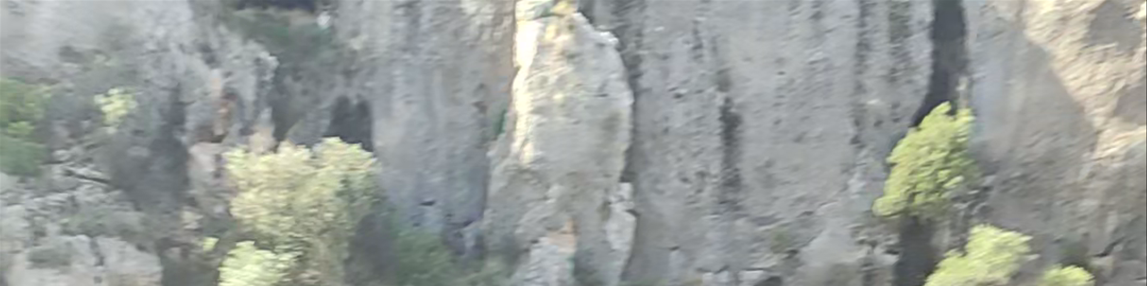 Cieza