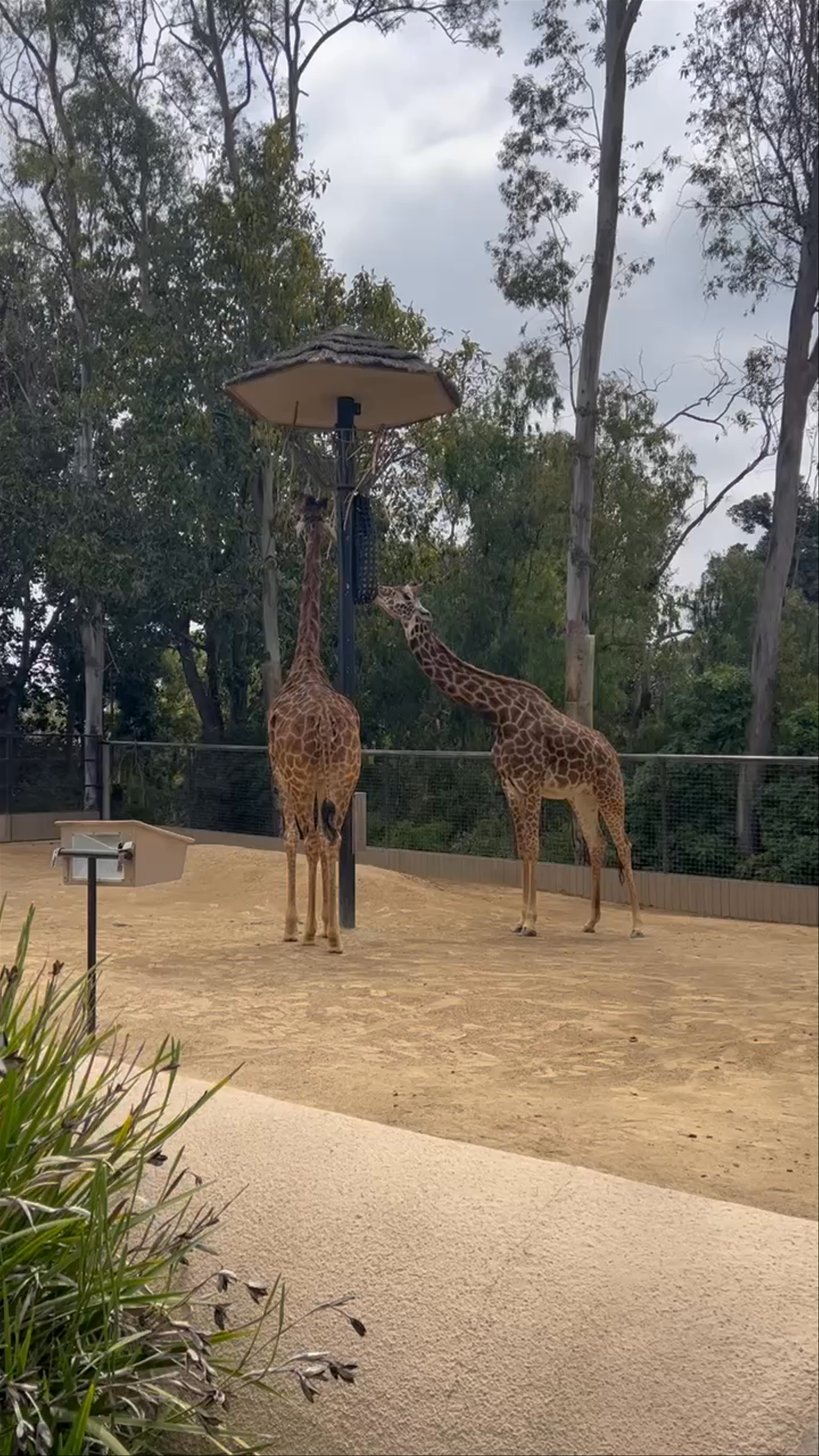 San Diego Zoo