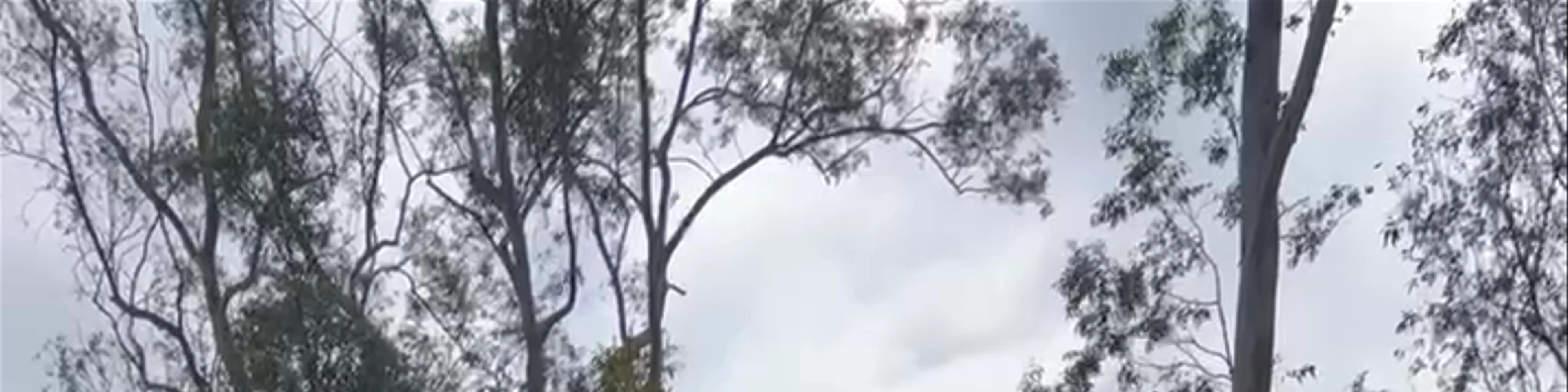 San Diego Zoo