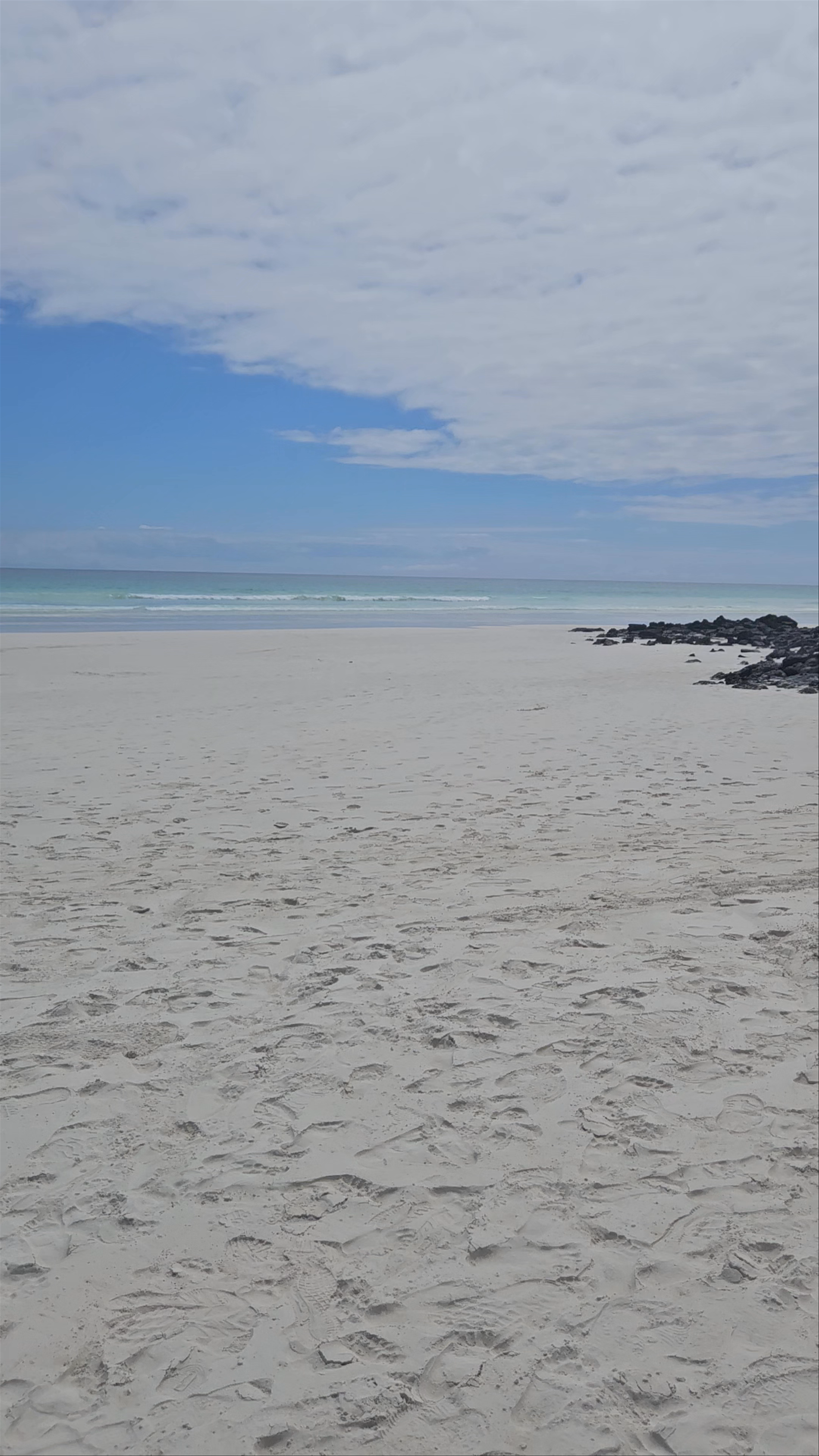 Tortuga Bay