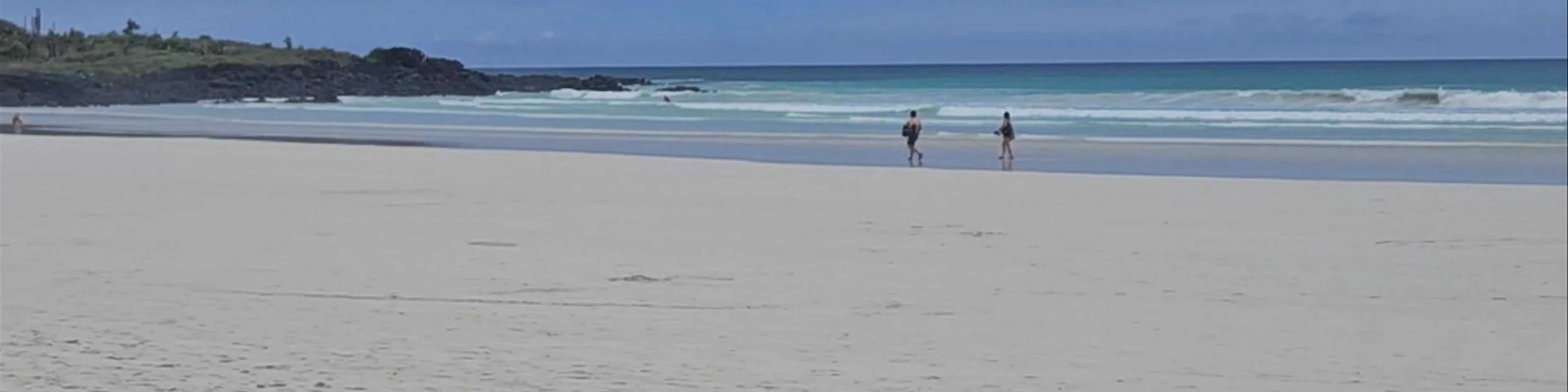 Tortuga Bay