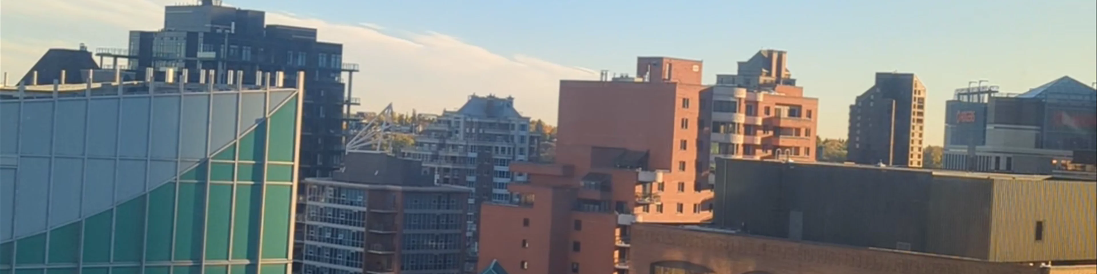 Bow & Bend Rooftop