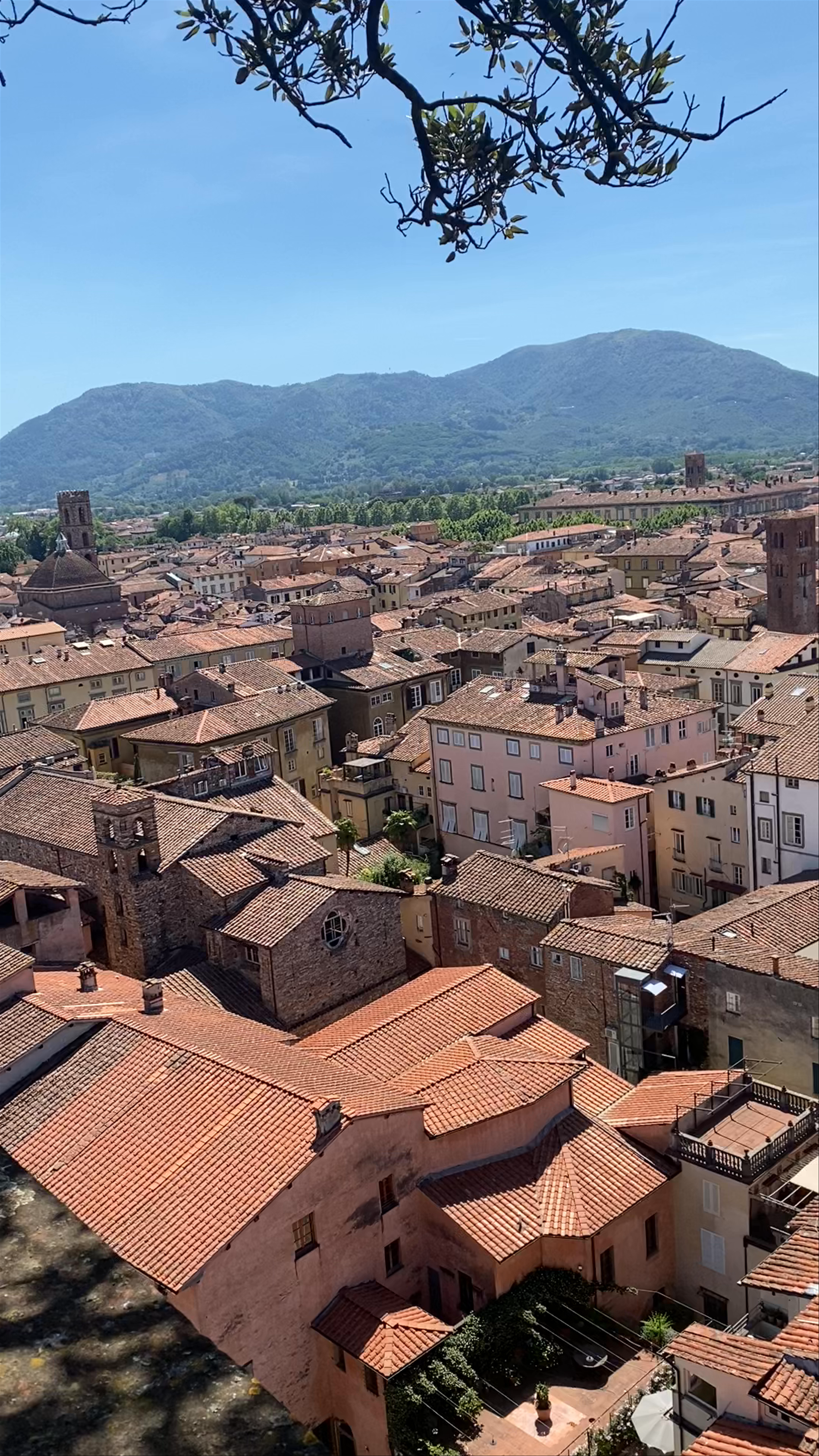 Guinigi Tower: Panoramic Views of Historic Lucca in Tuscany