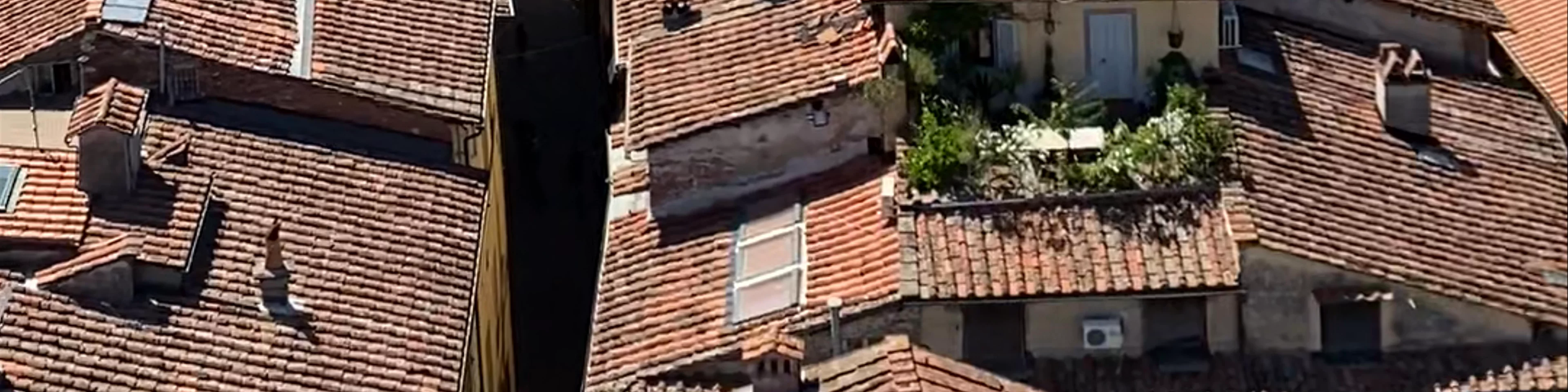 Guinigi Tower