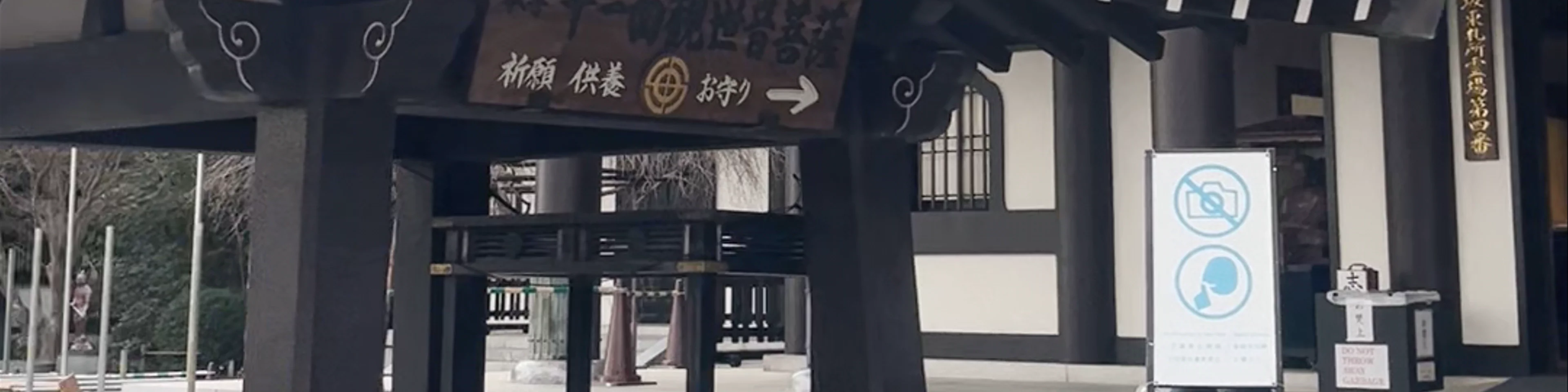Hasedera
