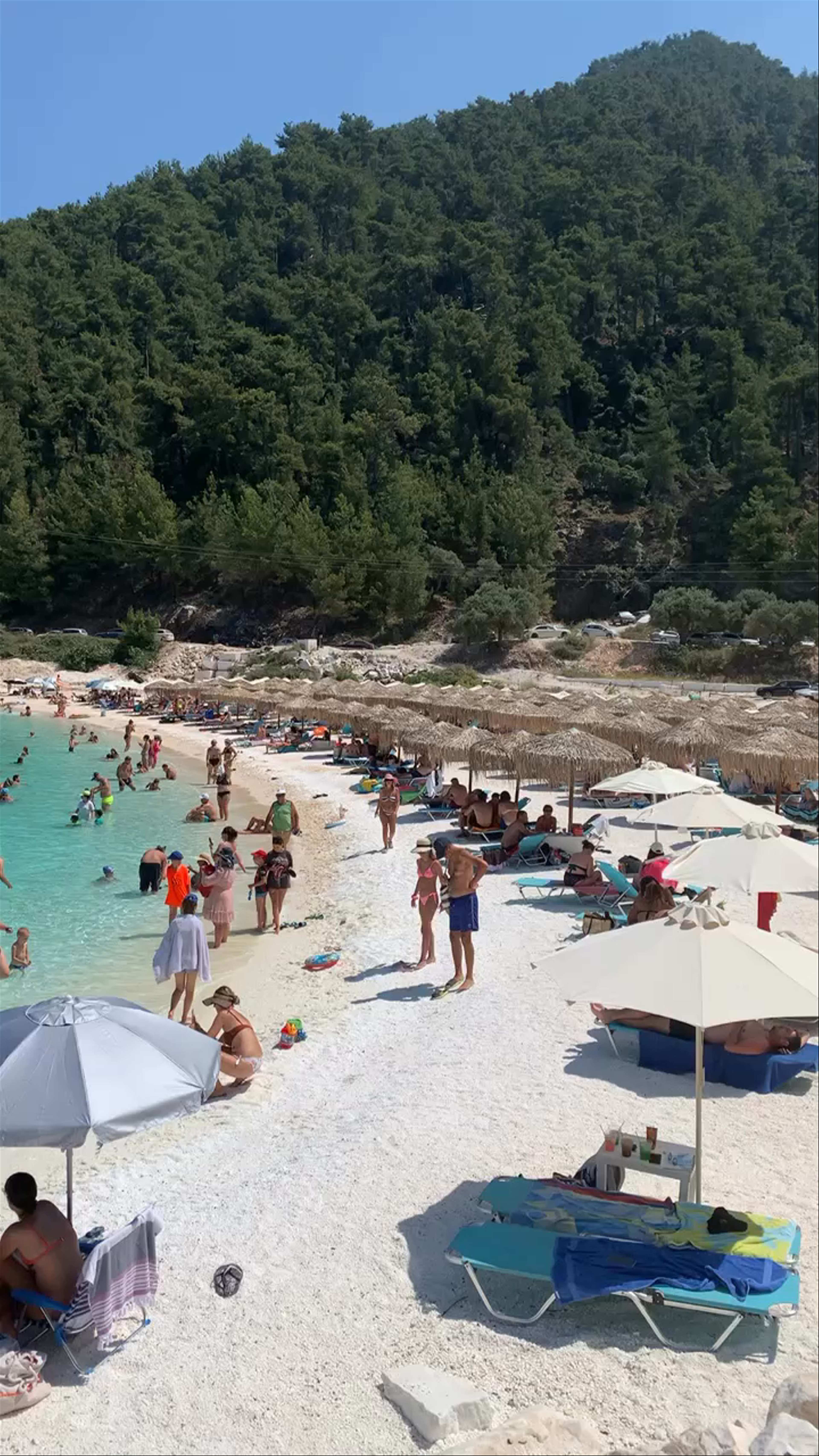 Marble Beach: Crystal Waters Amidst Pine-Clad Hills in Thasos, Greece