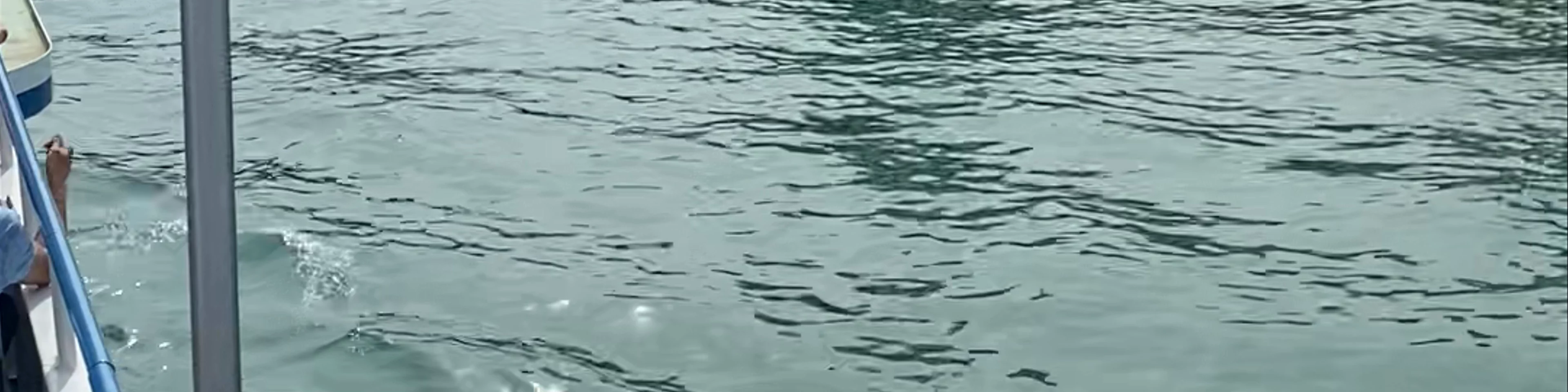 Lake Zurich