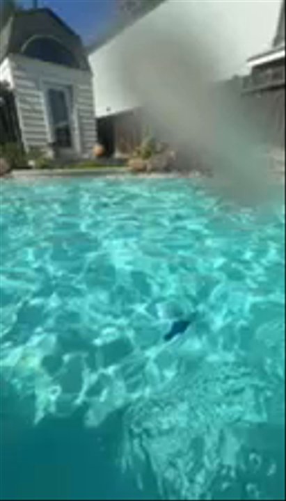 Chuck's Pool Service - Beautiful clean pool from the to the bottom - Pool & Hot Tub Service Near Me