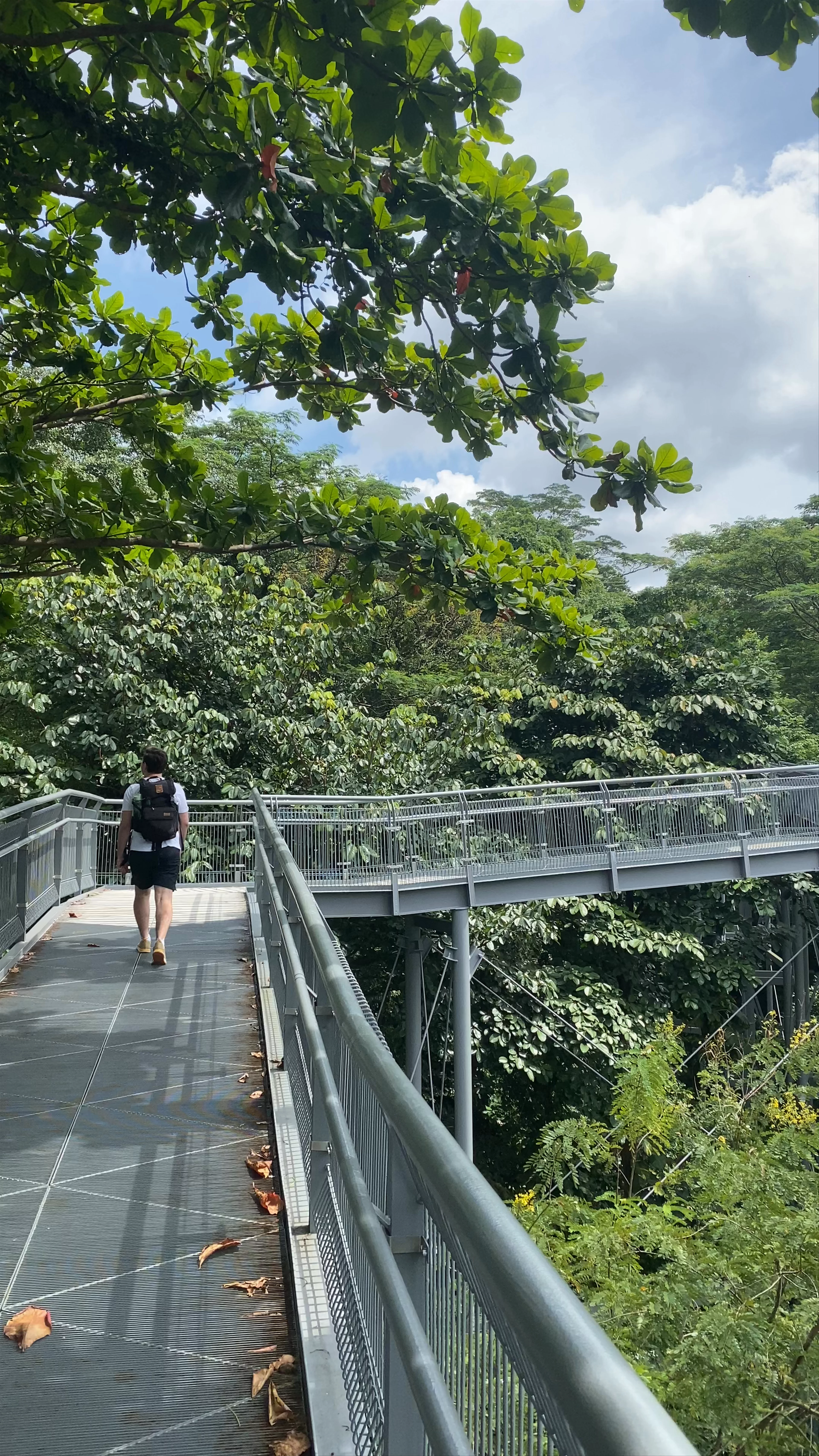 Southern Ridges