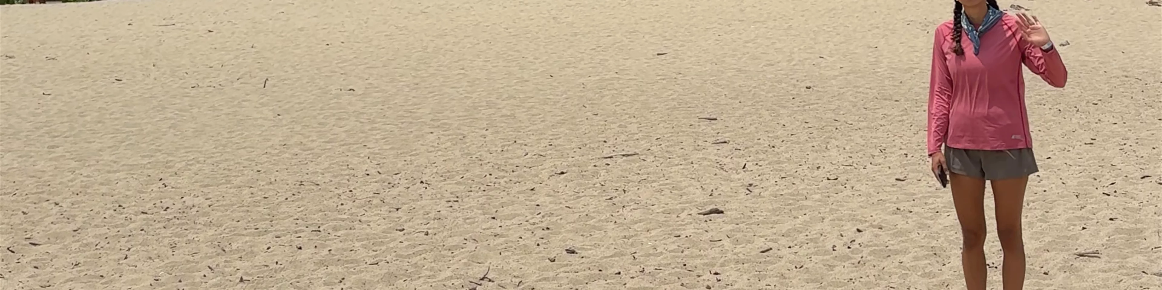 Playa Arenilla