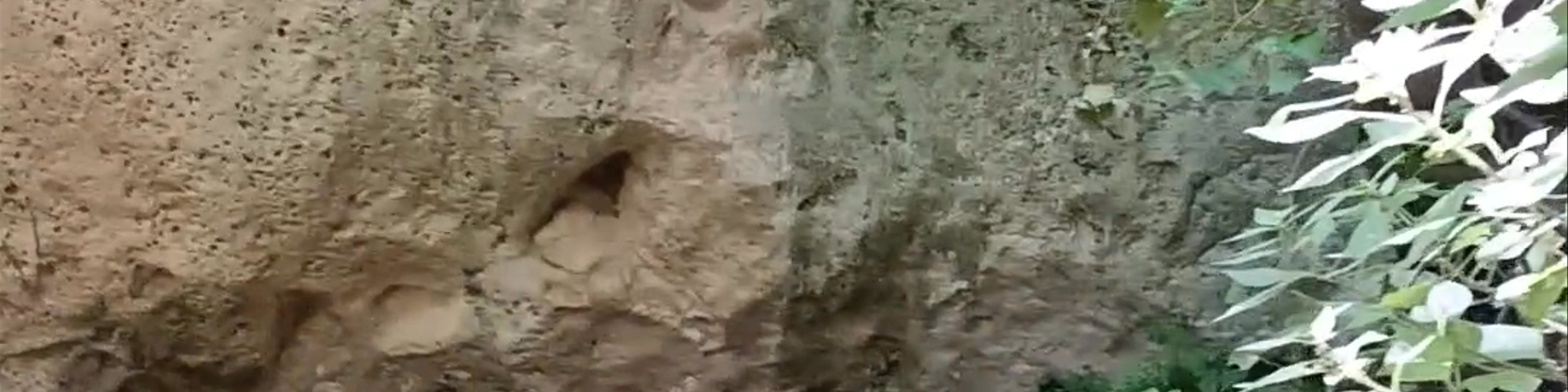 Arroyo de Letur