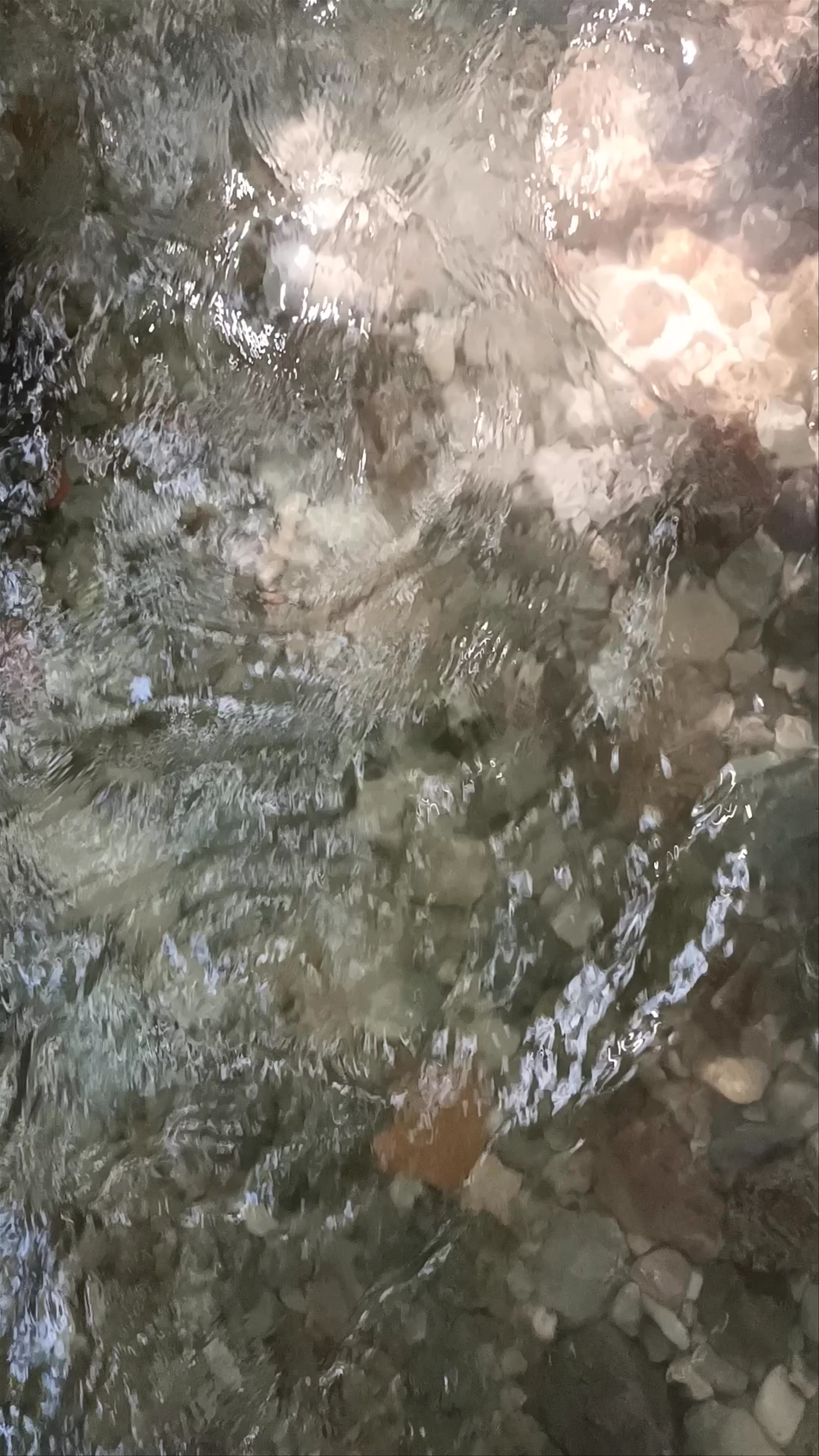 Arroyo de Letur