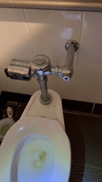 Tokyo Steakhouse - The repulsive cleanliness of the restroom. - Japanese Near Me - Queensbury, New York