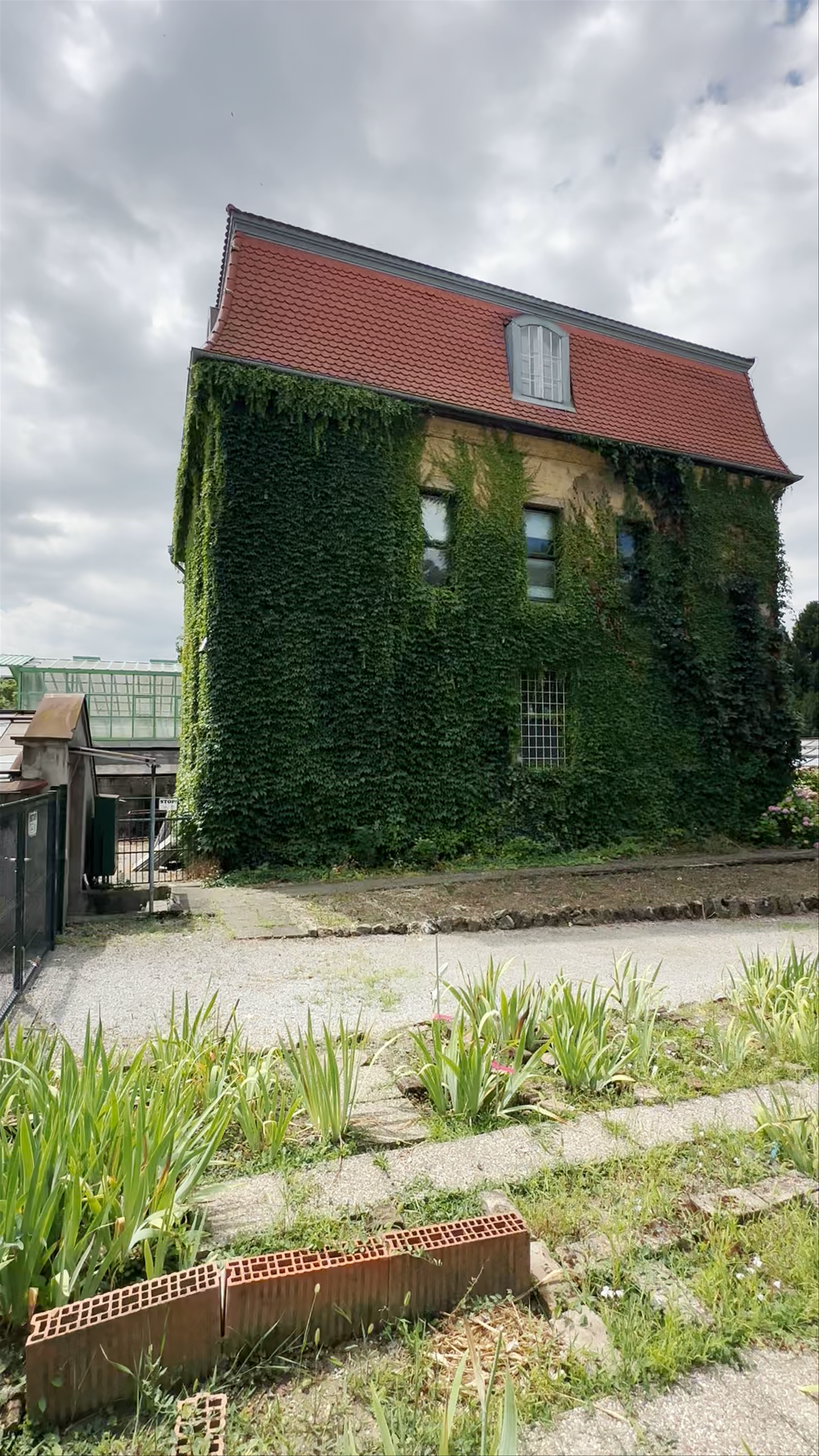 Lush Ivy-Covered Building at Jardín Botánico, University of Zagreb