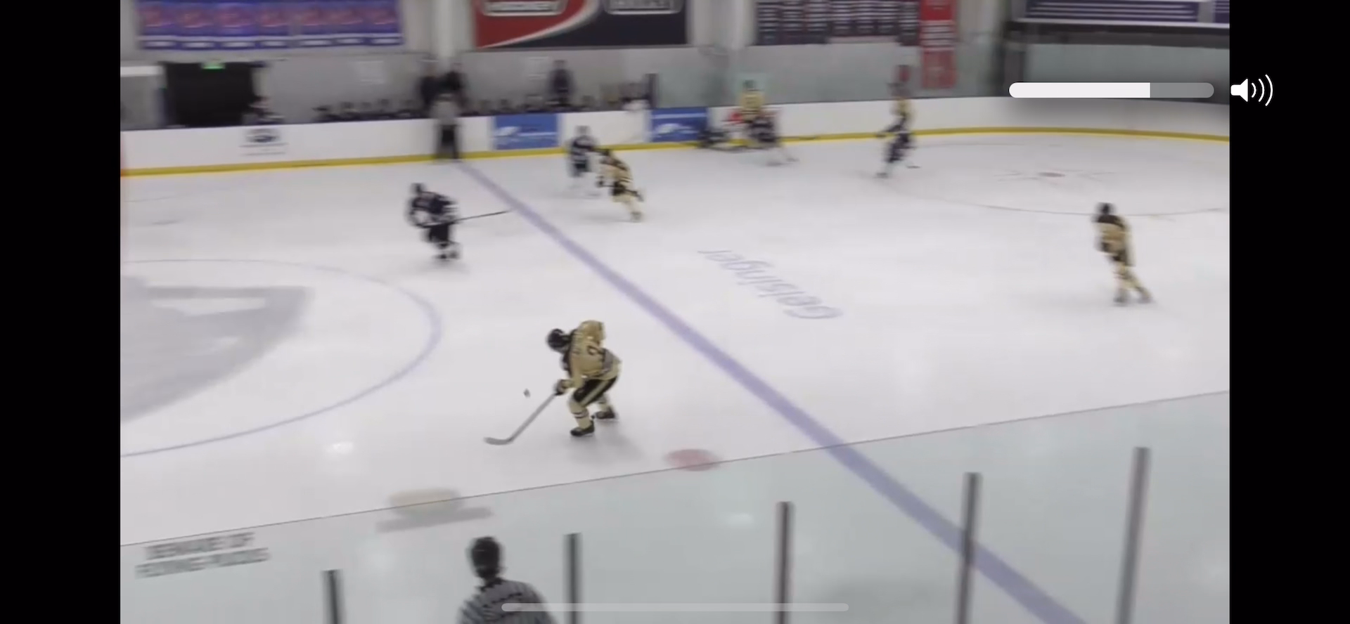 Goal Vs WBS