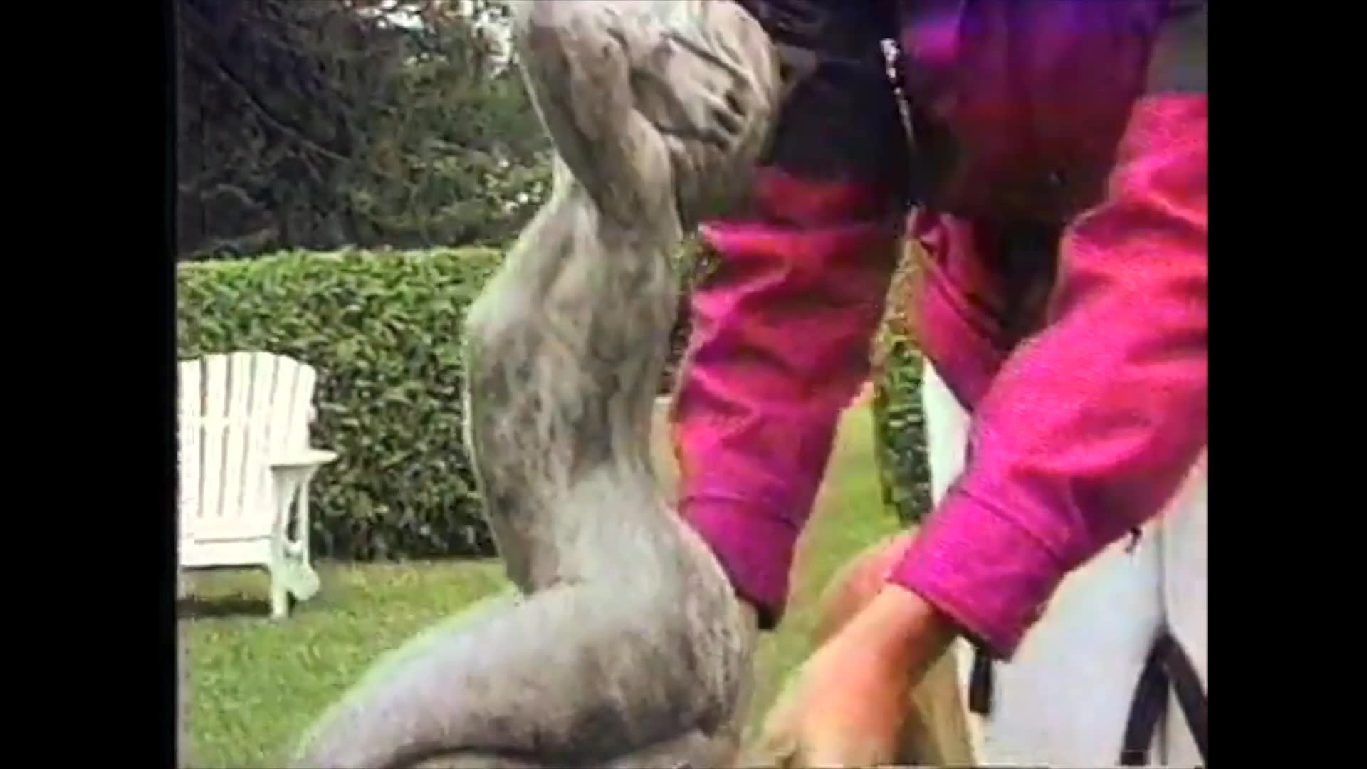 An individual interacts with garden sculptures and bas-relief stonework through touch, alternating with scenes of food preparation in a home kitchen. The sequence juxtaposes domestic culinary activity with an appreciation for public artistic installations.