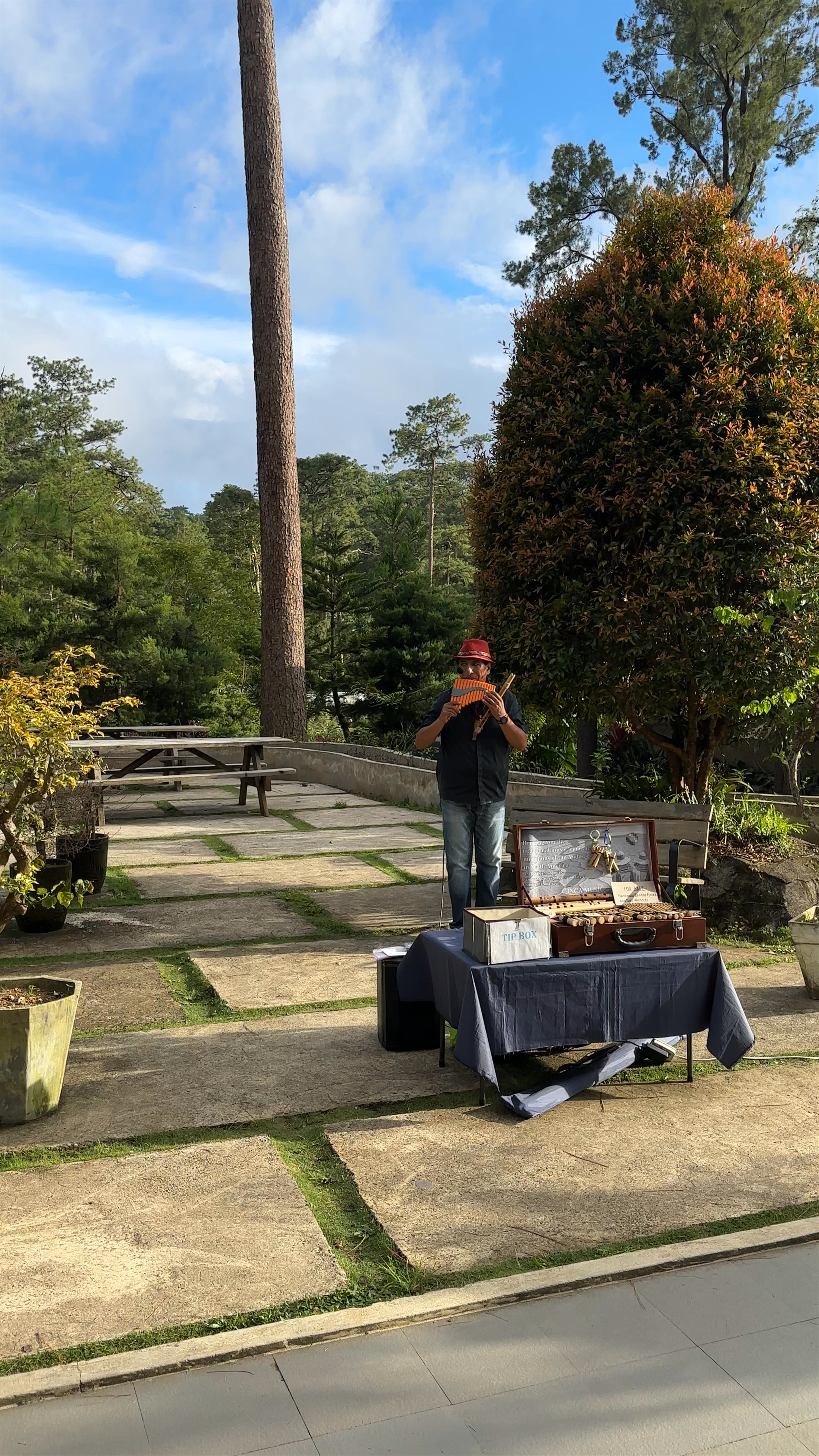 Botanical garden