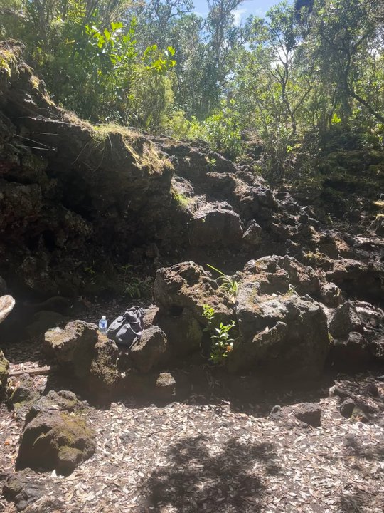 Rangitoto Island - Cool caves - Local Flavor Near Me - Auckland, AUK
