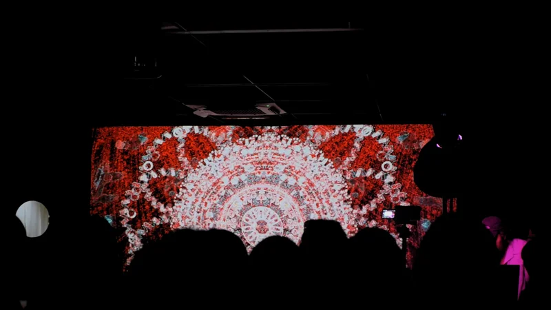 VJing for Cool Dub Club